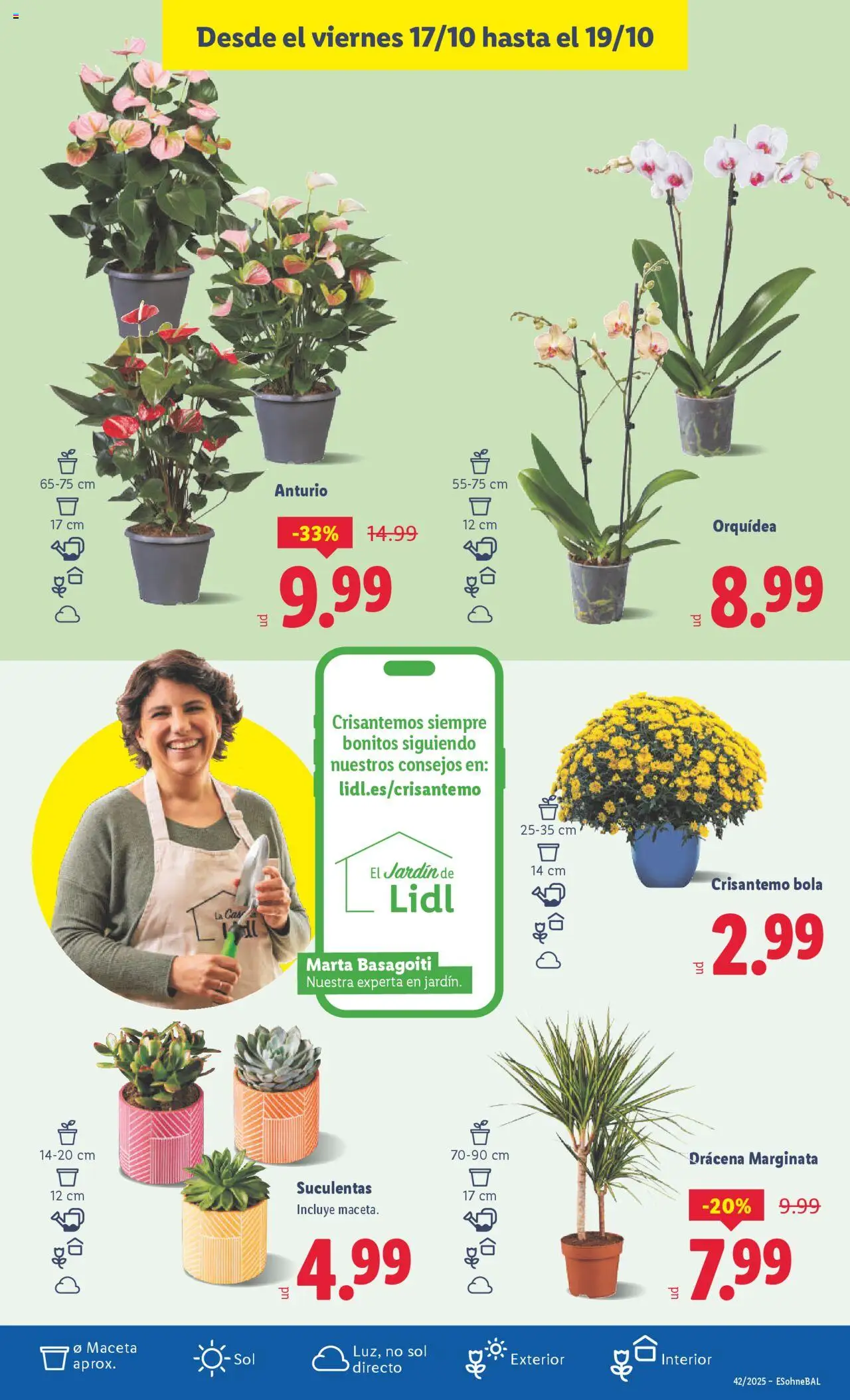 Lidl catálogo BCN │ válido desde el 13.10.2025 | Página: 47 | Productos: Maceta