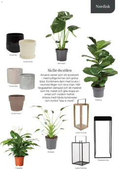 Plantagen - erbjudanden - Förhandsvisning av reklamblad från butik Plantagen aktuell från 13.01.2026 | Sida: 13 | Produkter: Lykta, Piedestal, Kruka, Häll