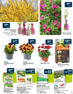 Pogląd oferty "Mrówka gazetka - Elbląg" - ważna od 12.03.2026 | Strona: 3 | Produkty: Ziemia uniwersalna, Ziemia, Warzywa, Owoce