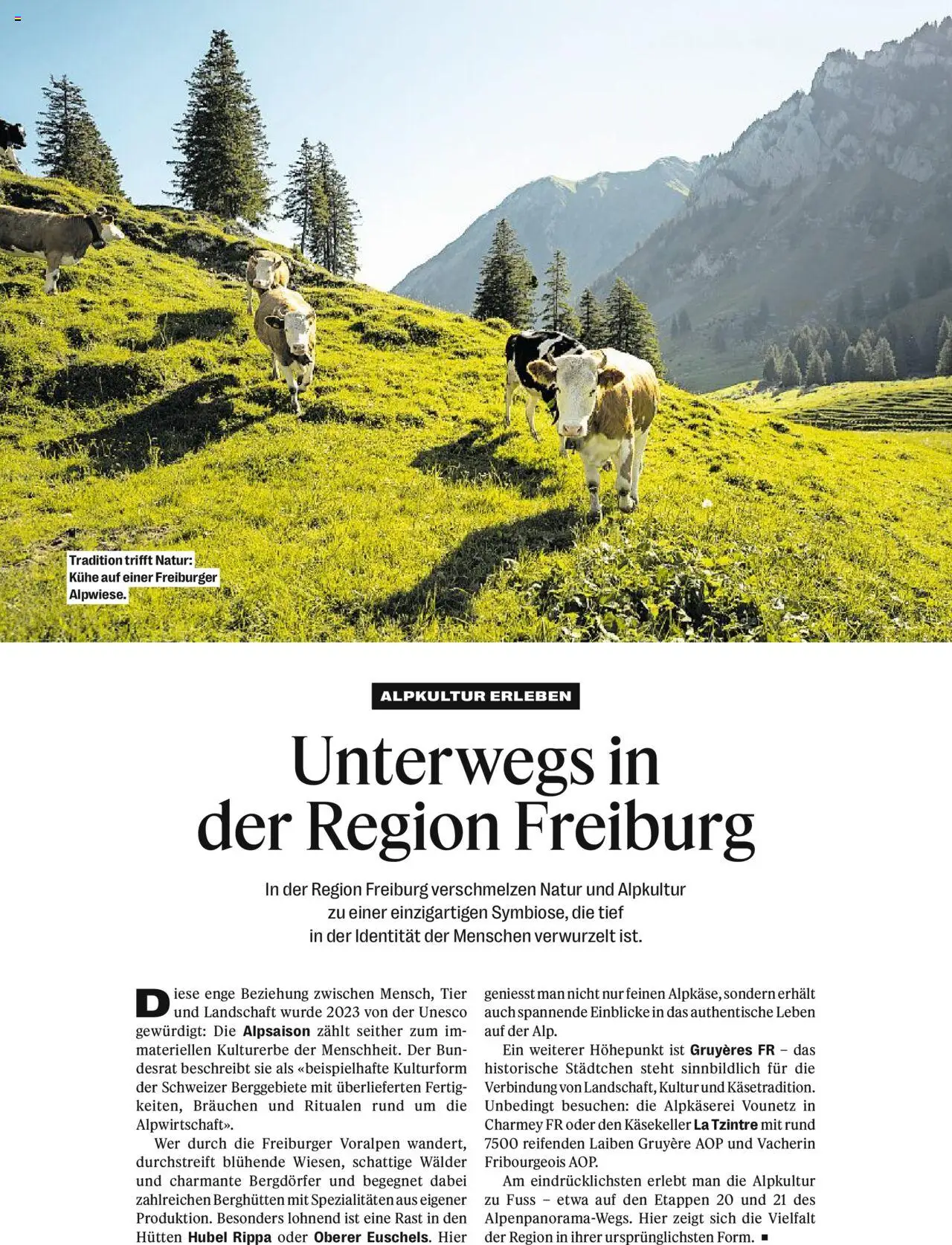 Coop Magazin ab 18.06.2025 | Seite: 94