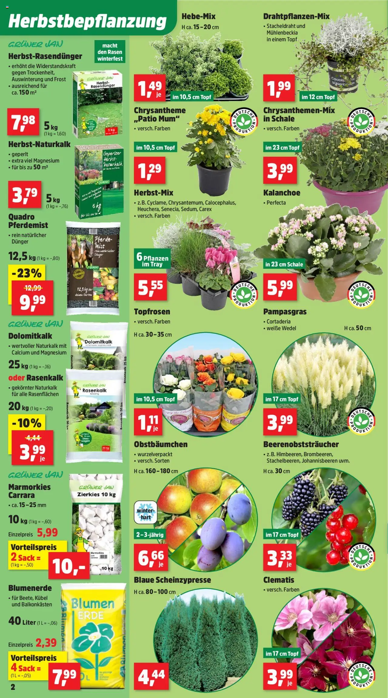 Thomas Philipps Prospekt – gültig ab 29.09.2025 | Seite: 2 | Produkte: Blumen, Blumenerde