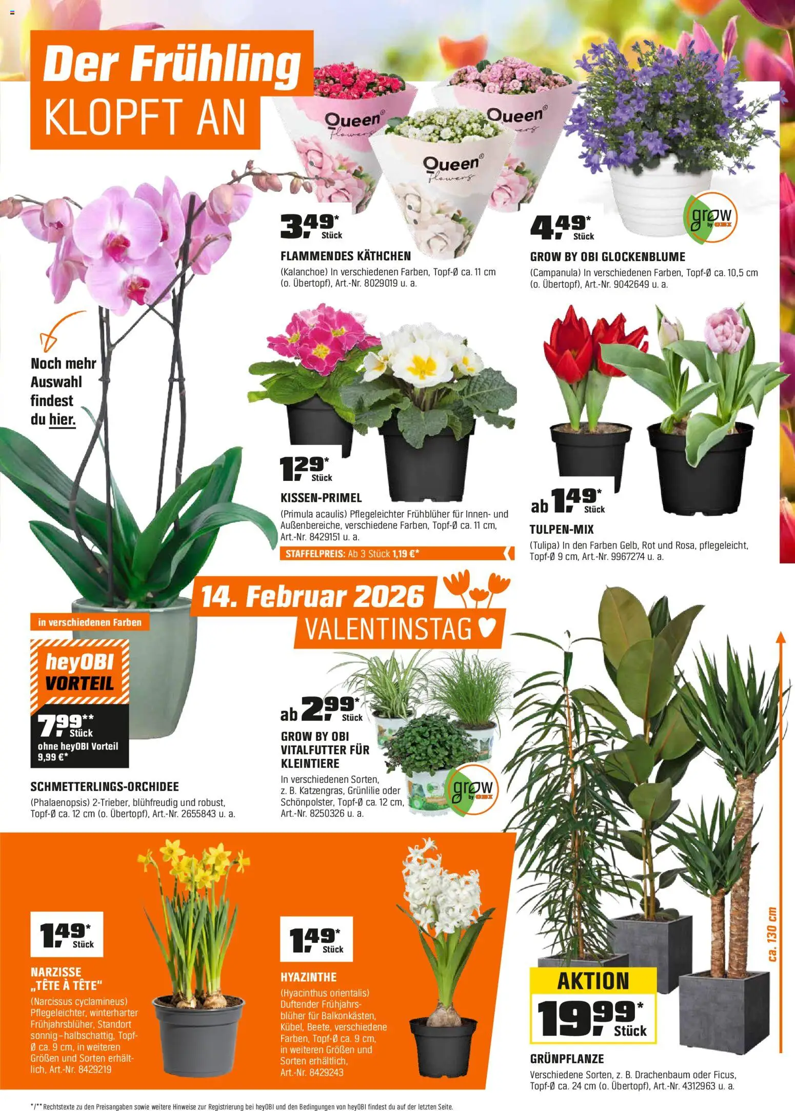 Obi Prospekt 	 – gültig ab 30.01.2026 | Seite: 7