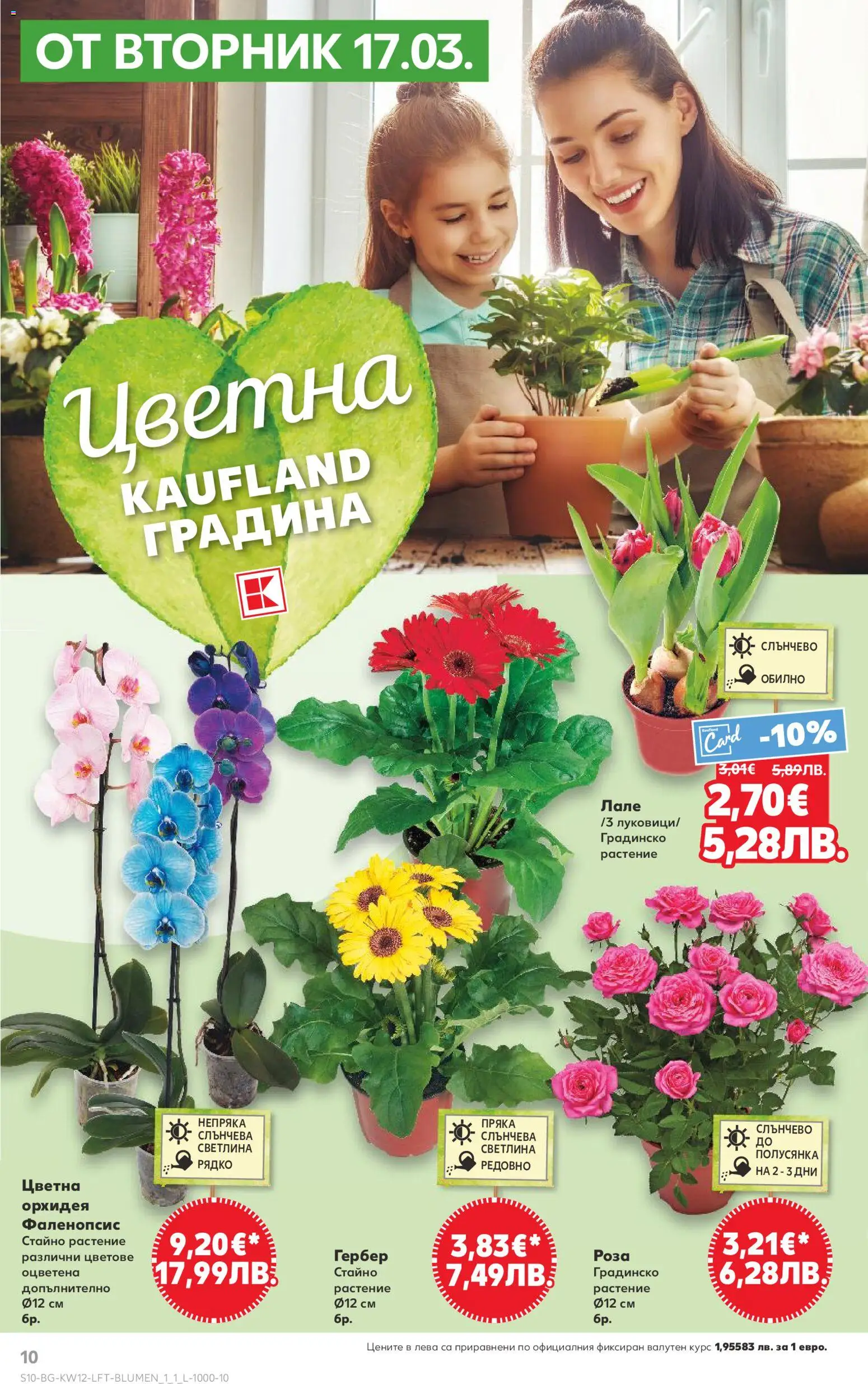 {H1} | Страница: 10 | Продукти: Орхидея, Роза