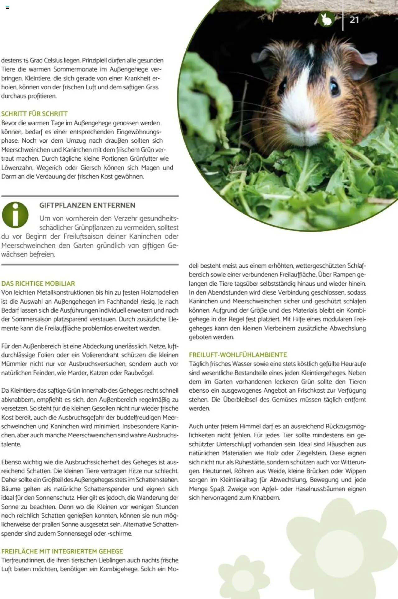 zookauf  Heimtier Journal - gültig ab dem 21.07.2025 | Seite: 21 | Produkte: Kaninchen, Äpfel, Wasser