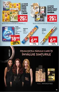 Catalog Profi  – valabil de la 06.08.2025 | Pagină: 15