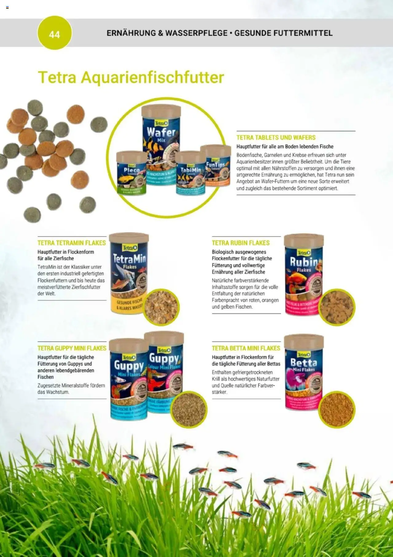 zookauf Themenkatalog Aquaristik – gültig ab 01.10.2025 | Seite: 44 | Produkte: Orangen, Garnelen