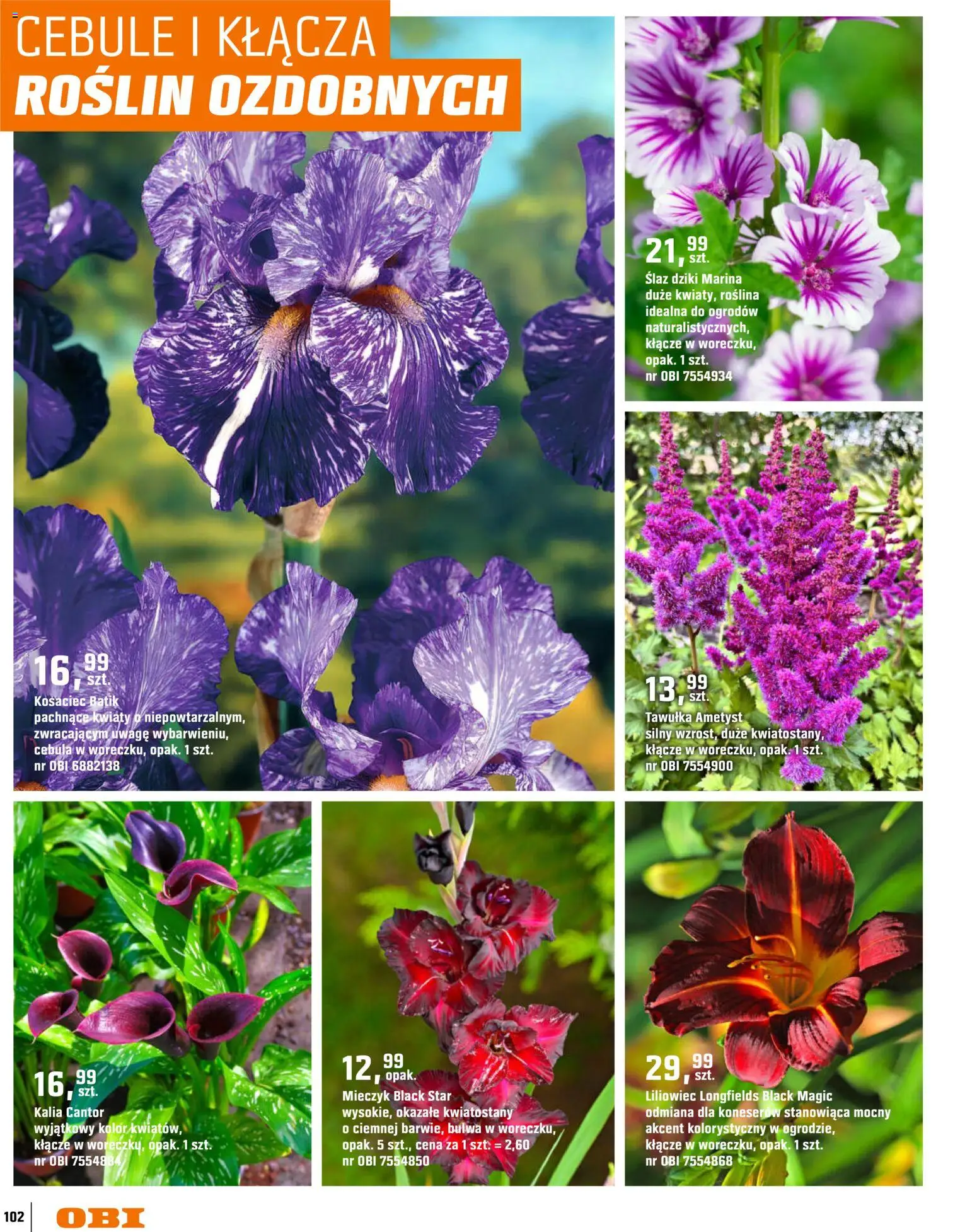 OBI gazetka - Ogród od 11.03.2026 | Strona: 102 | Produkty: Kwiaty, Cebule