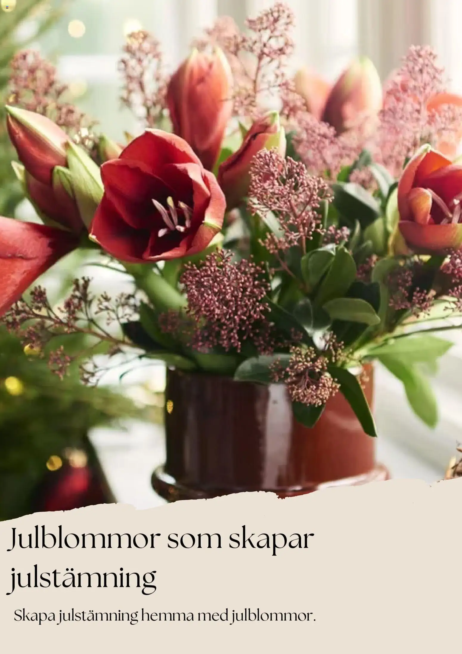 Plantagen reklamblad aktuell från 27.11.2025 | Sida: 6