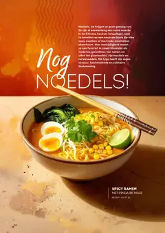 Alvo folder / publicité - Voorbeeld van een folder van Alvo, geldig van 01.01.2026 | Pagina: 14 | Producten: Noedels, Rijstnoedels, Maïs