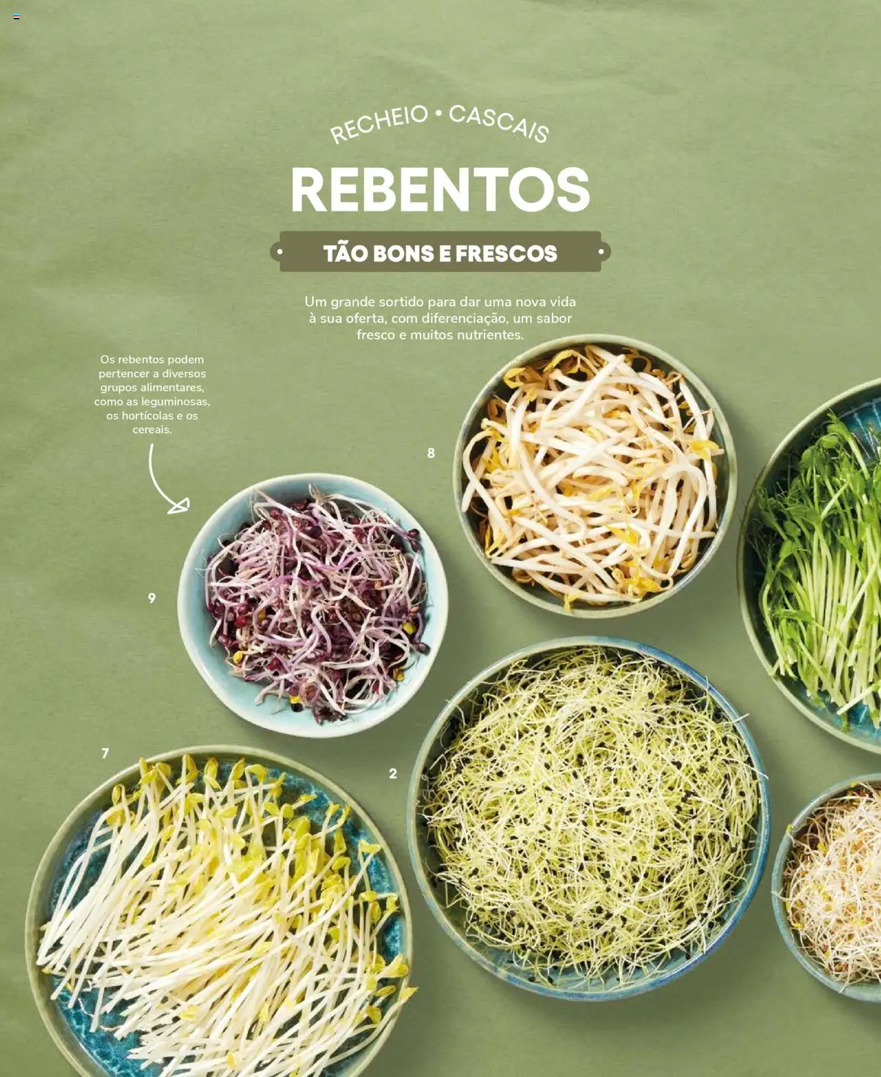 Recheio Frutas e Legumes │ válido de 19.09.2024 | Página: 54