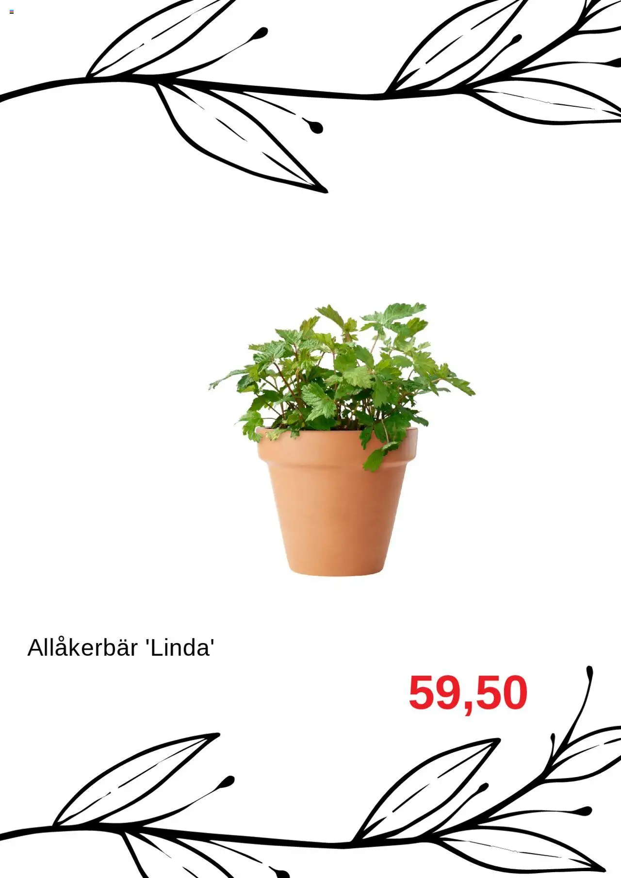 Blomsterlandet reklamblad aktuell från 01.10.2025 | Sida: 5