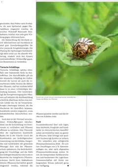 Lagerhaus Unser Land Mai 2025 ab 01.05.2026 gültig | Seite: 38 | Produkte: Kartoffeln