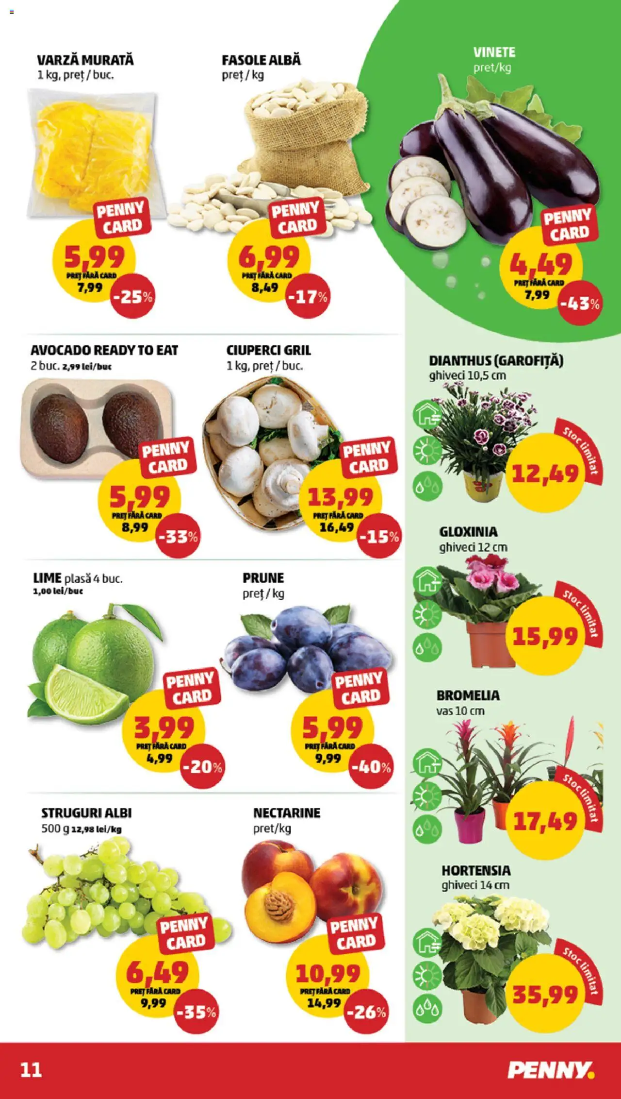 Catalog PENNY – valabil de la 06.08.2025 | Pagină: 11 | Produse: Varză, Lime, Temizlik kovası, Ciuperci