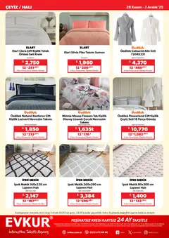 28.11.2025 tarihinden itibaren geçerli olan Evkur kataloğu önizlemesi | Sayfa: 9 | Ürünler: Yatak, Halı, Nevresim, Somon