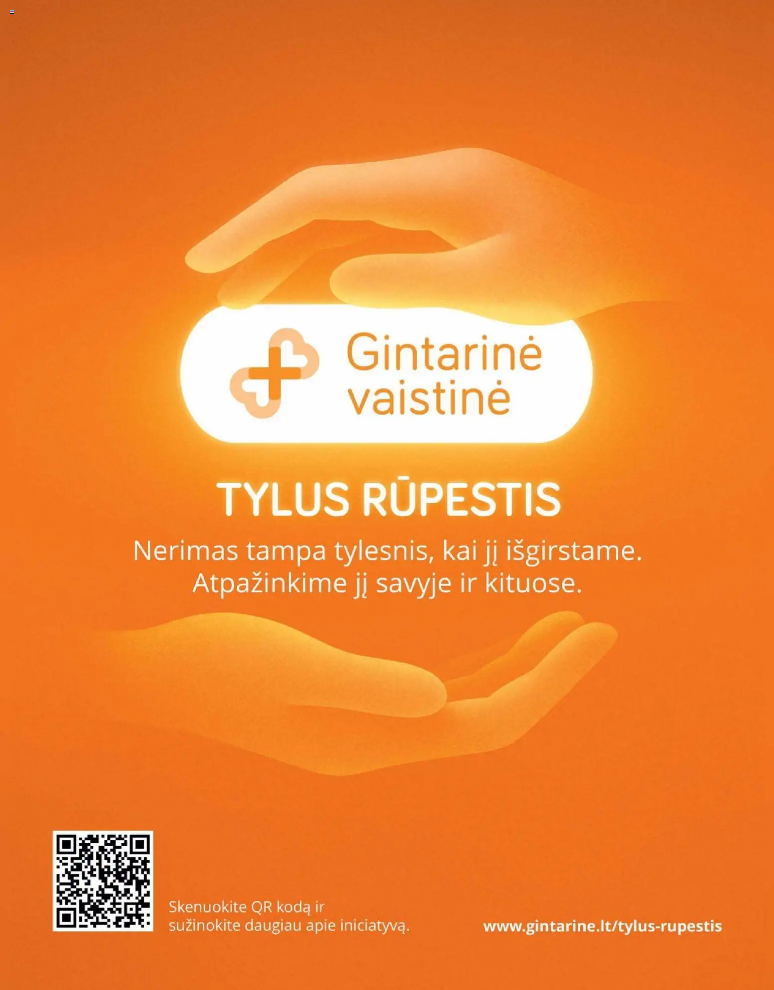 Gintarinė akcijos nuo 01.01.2026 | Puslapis: 32