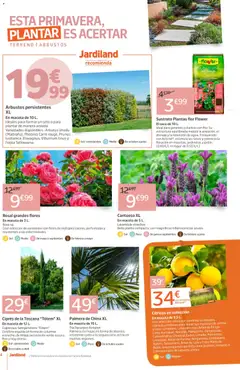 Vista previa Jardiland folleto válido desde el 02.04.2026 | Página: 4 | Productos: Poêle à pétrole, Maceta