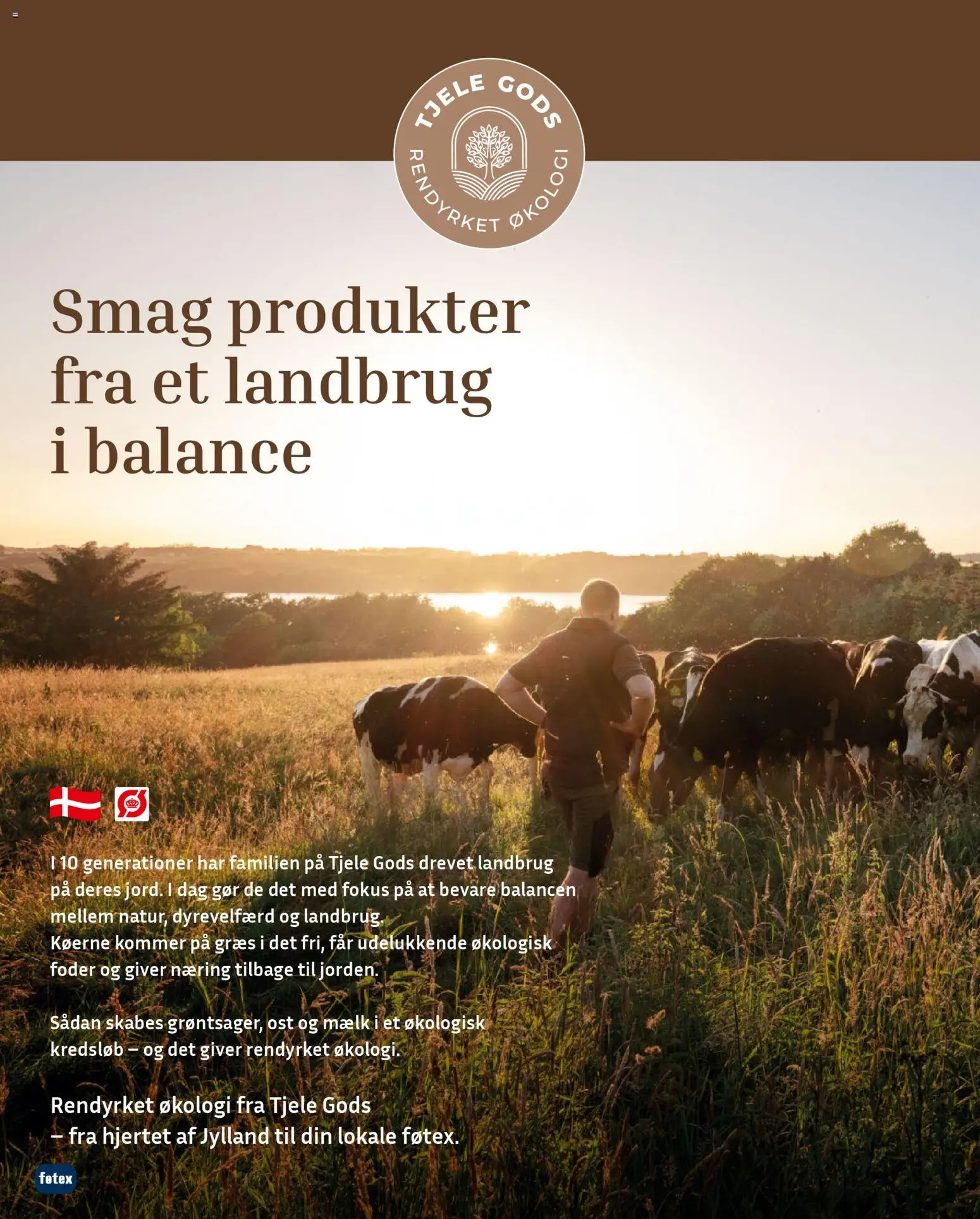 Føtex tilbudsavis – gyldig fra 07.04.2026 | Side: 12 | Produkter: Mælk, Ost
