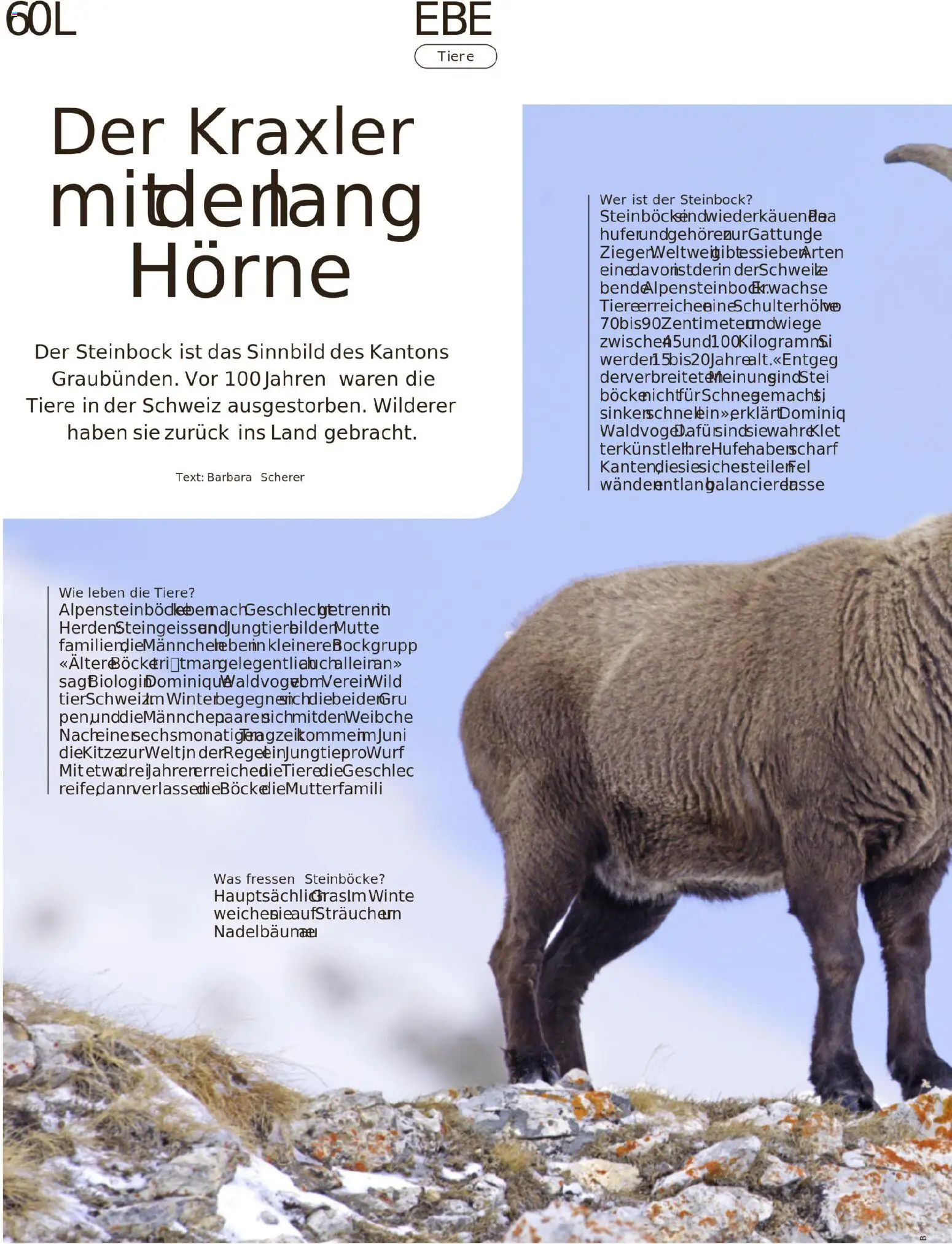 Migros Migros-Magazin-44-2025-d-AA – gültig ab 27.10.2025 | Seite: 60