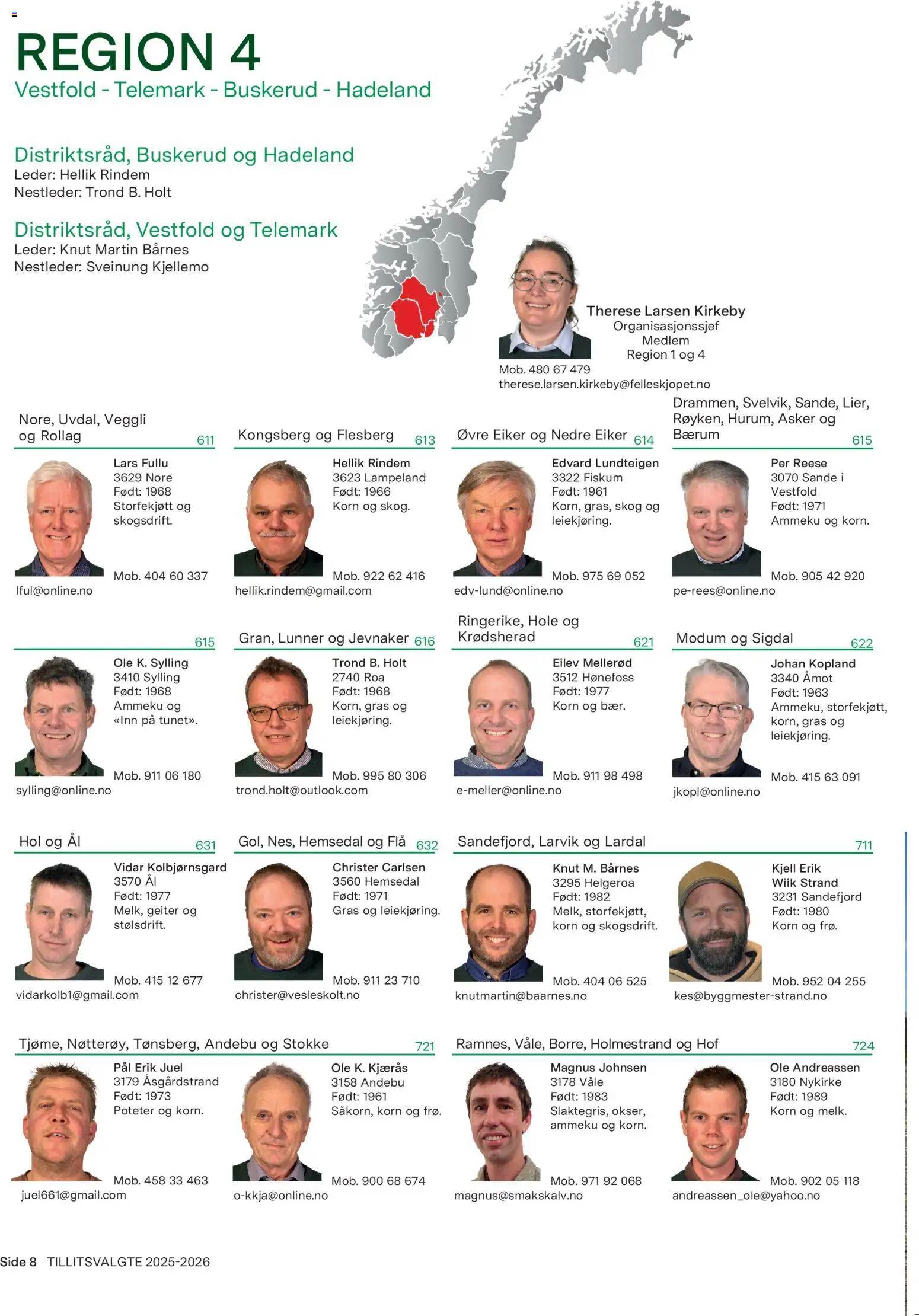 {H1} | Side: 8 | Produkter: Poteter, Суміш дитяча, Lumini decorative