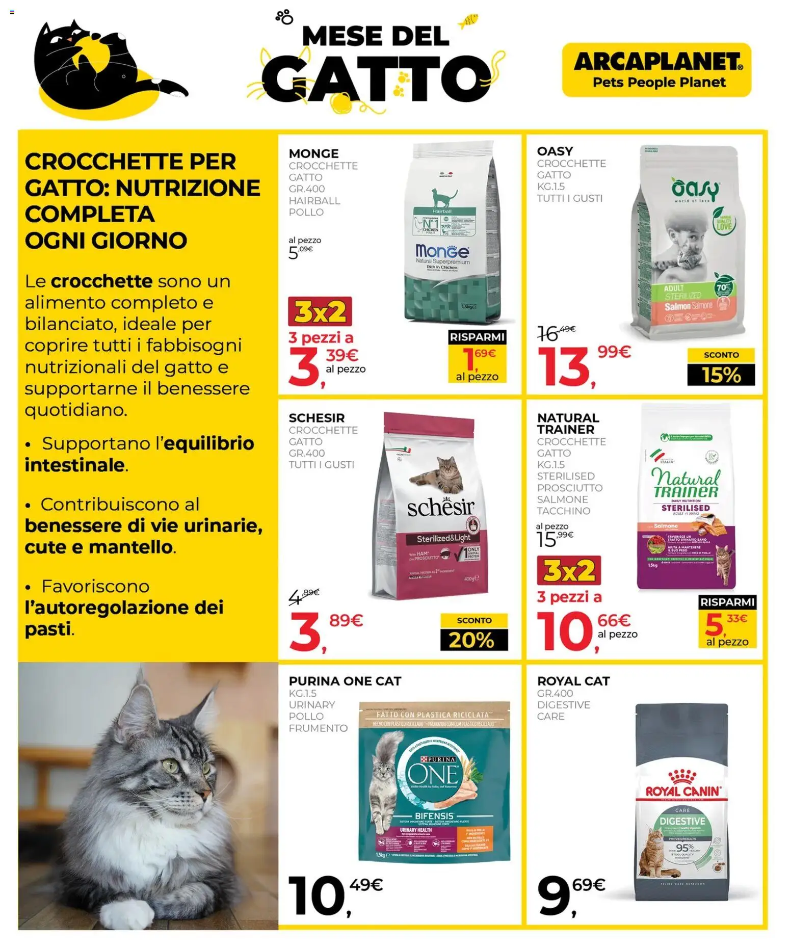 Volantino Arcaplanet del 02.02.2026 | Pagina: 8