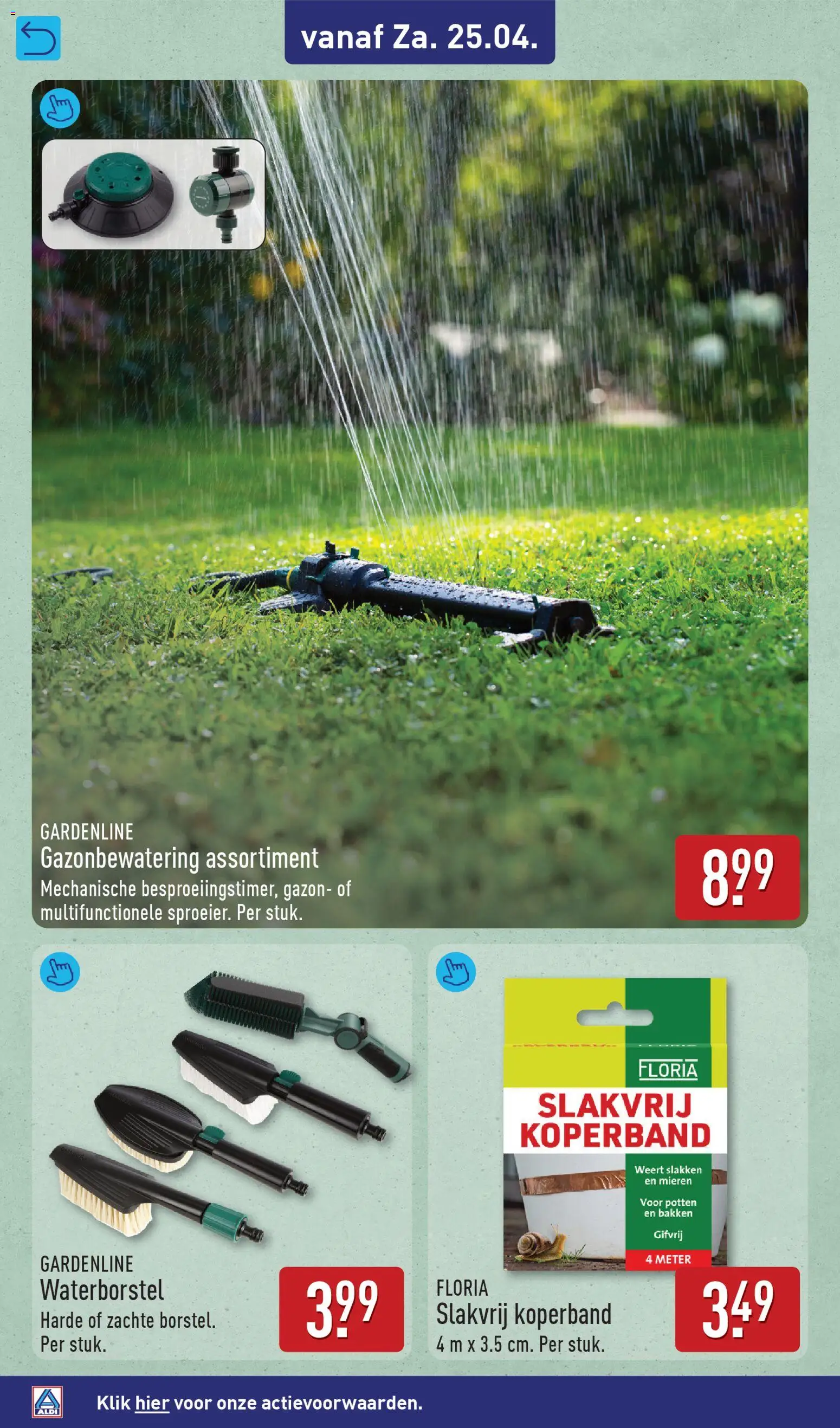 {H1} | Pagina: 8 | Producten: Borstel