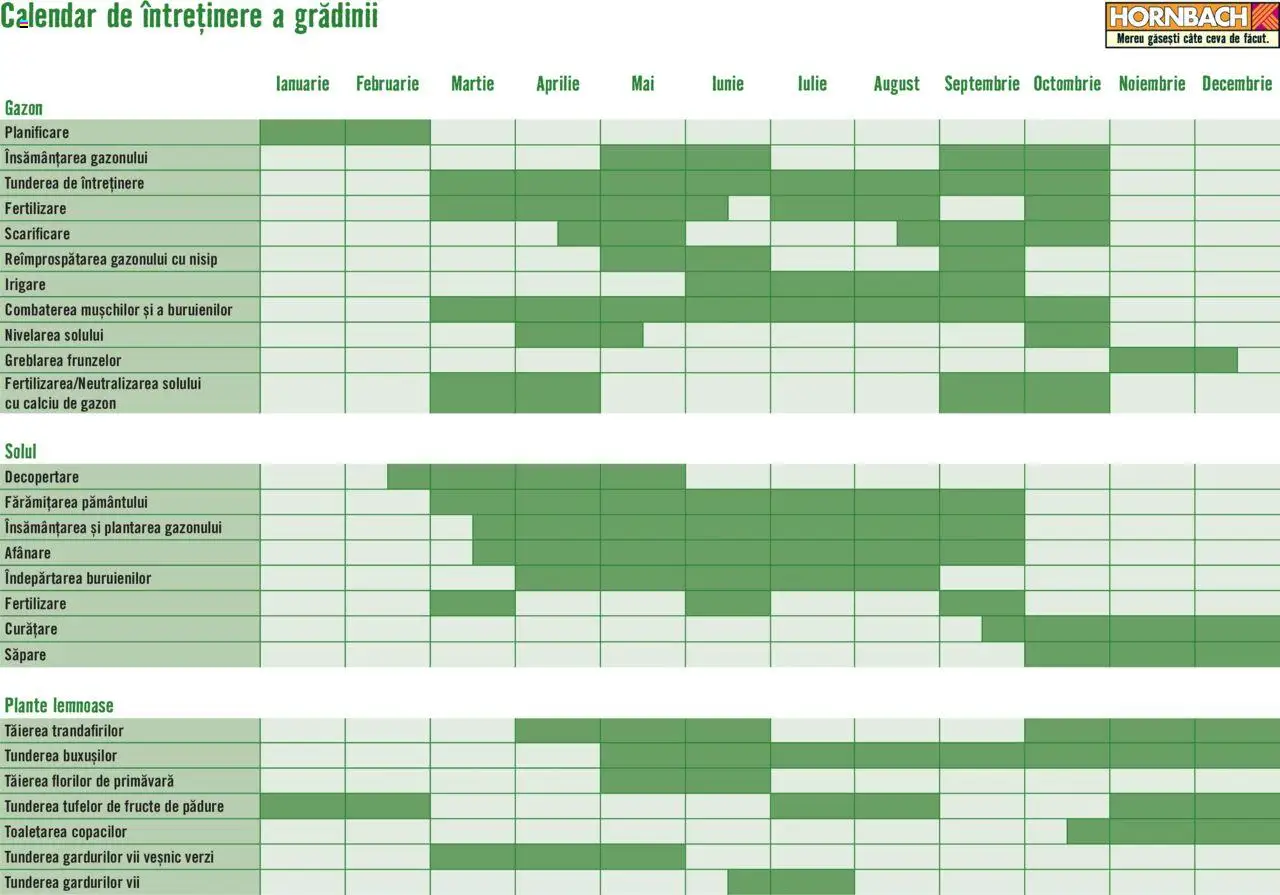 Noul catalog Hornbach – valabil de la 22.04.2024 | Pagină: 1 | Produse: Fructe