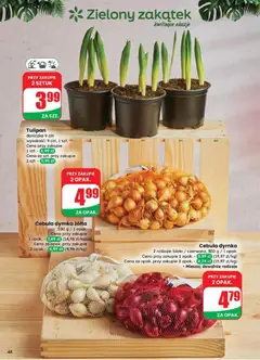 Pogląd oferty "Cebula dymka żółta, 500 g / 1 opak. Cena przy zakupie 1 opak. - 7,49 zł (14,98 zł/kg) Cena za opak. przy zakupie 2 opak. - 4,99 zł (9,98 zł/kg)" - ważna od 18.02.2026 | Strona: 48 | Produkty: Doniczka