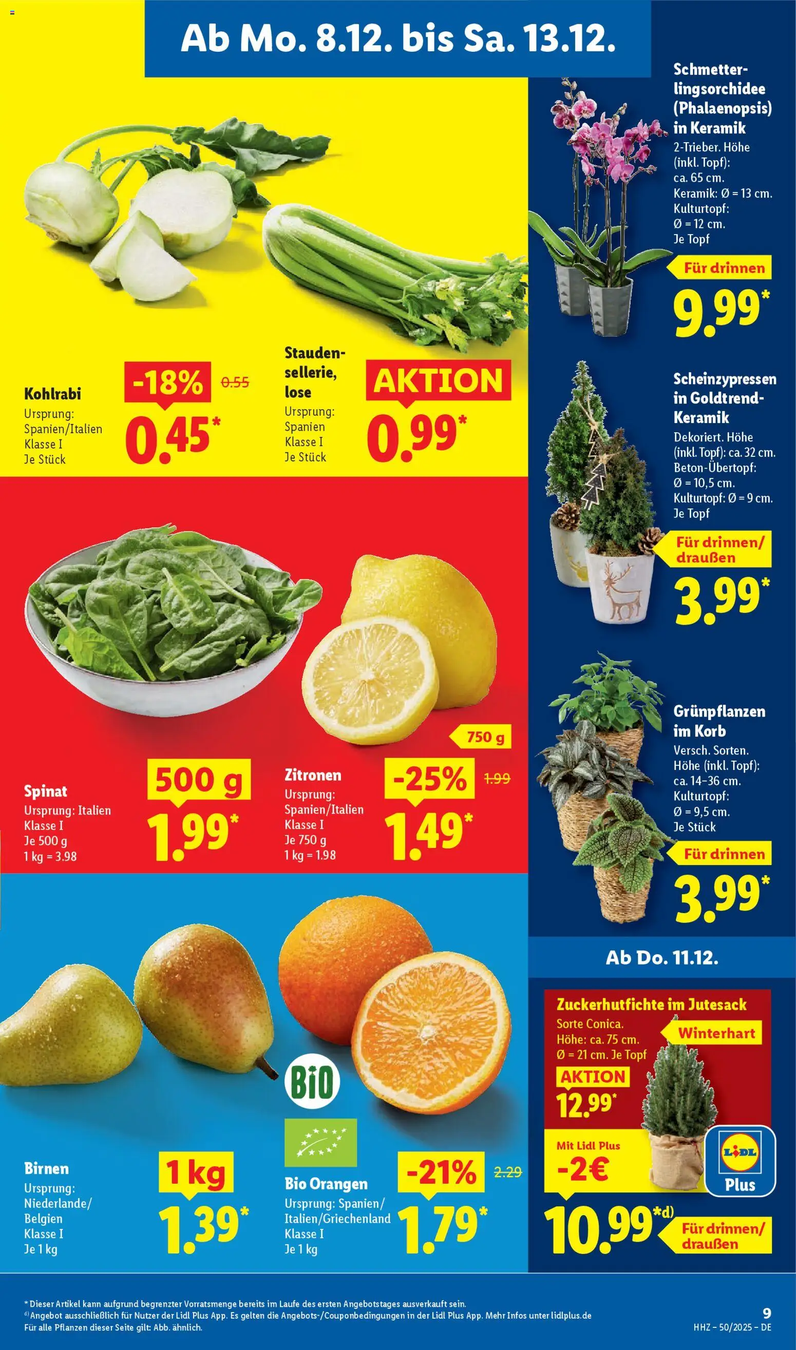 Lidl Prospekt Krefeld – gültig ab 08.12.2025 | Seite: 17 | Produkte: Korb, Kohlrabi, Orangen, Zitronen