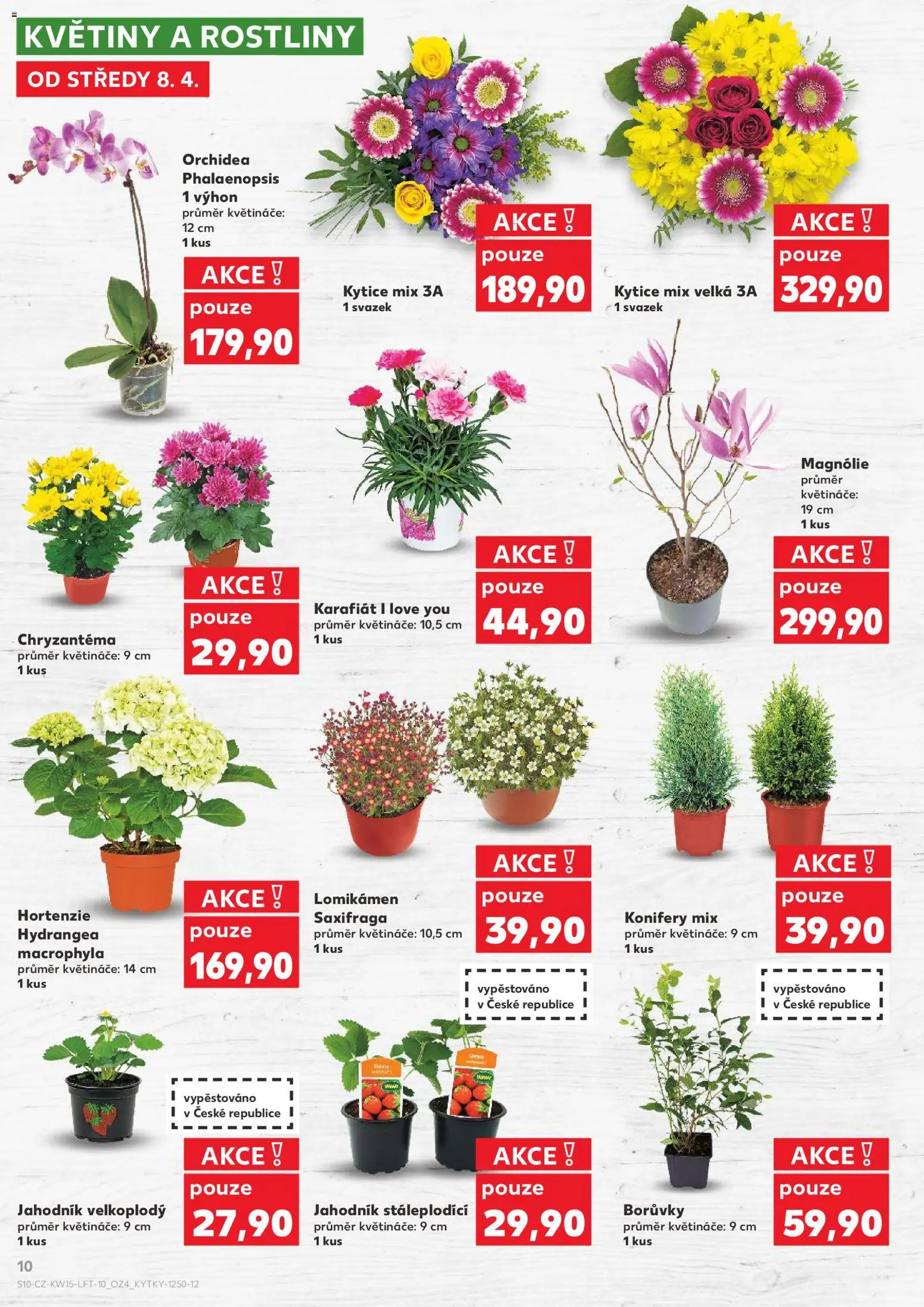 Kaufland leták - Liberec od 08.04.2026 | Strana: 10 | Produkty: Květináče, Borůvky, Rostliny, Květiny