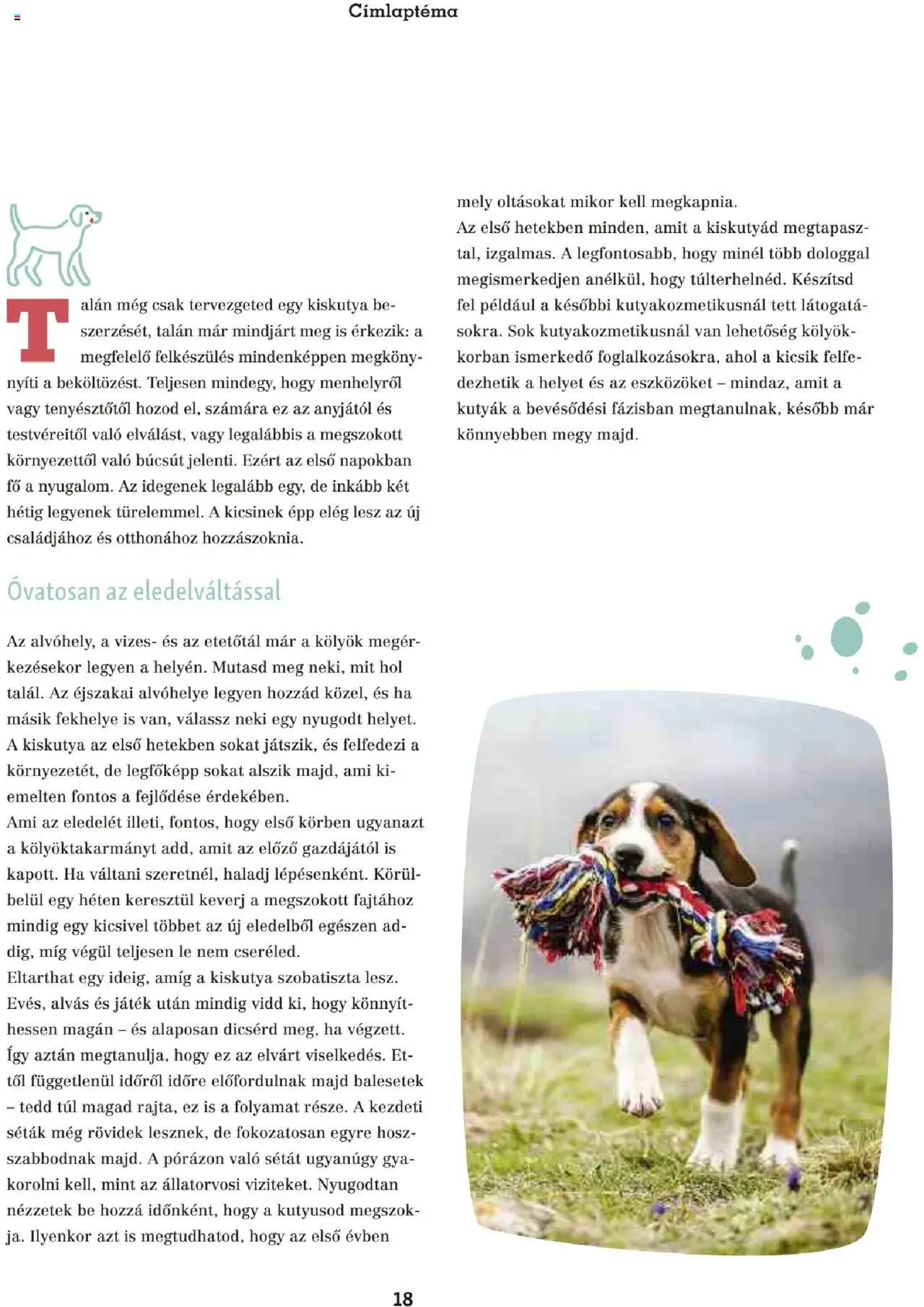 Fressnapf akciós ujság - amely érvényes a következő dátumtól: 05.05.2025 | Oldal: 18 | Termékek: Játék