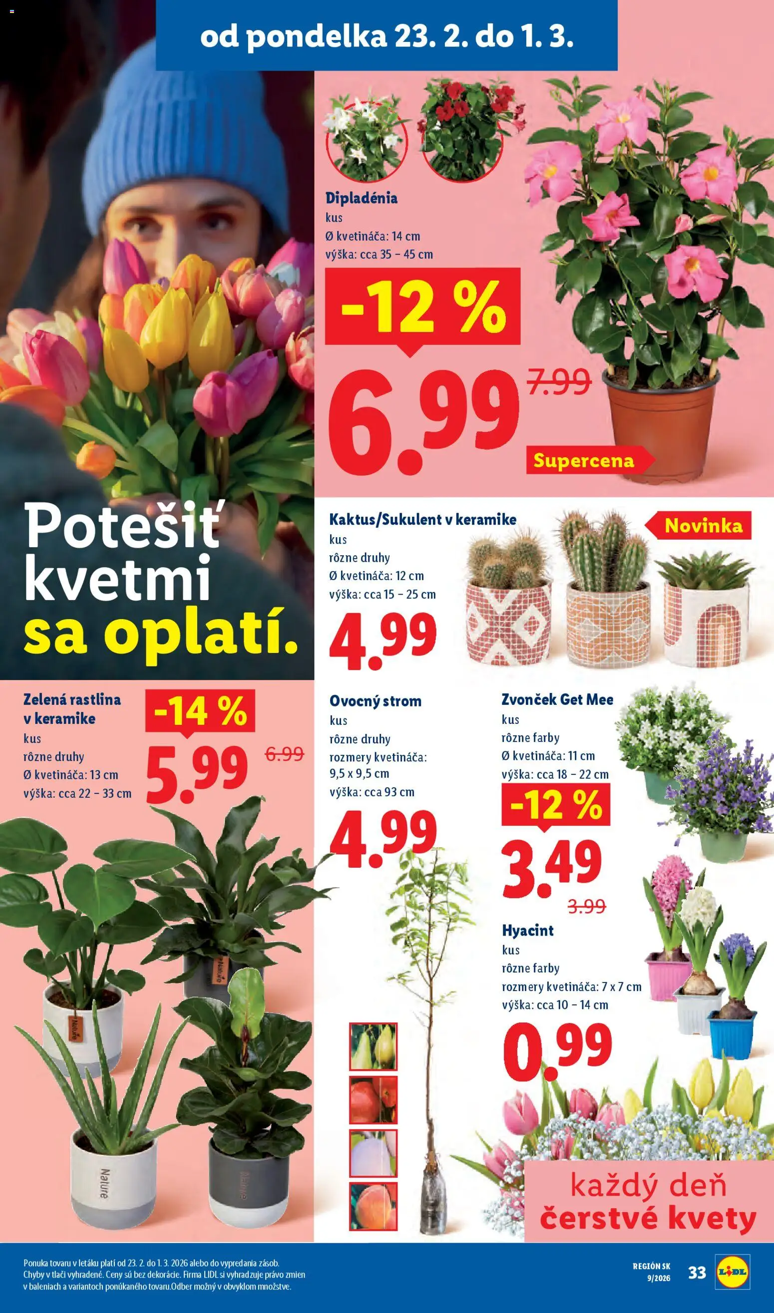 Nové Lidl akcie – leták je platný od 26.02.2026 | Strana: 77 | Produkty: Zvonček, Kvety