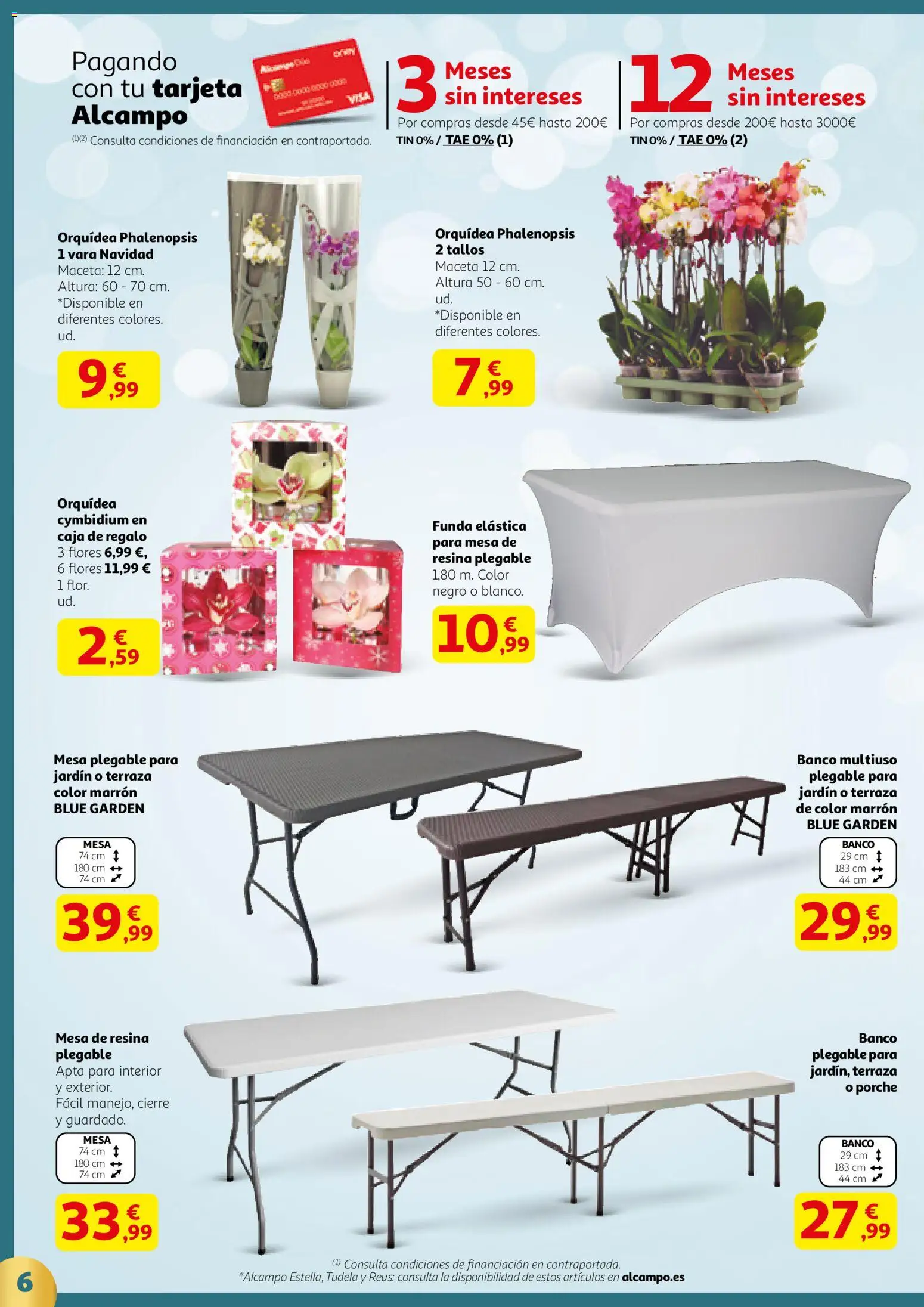 Alcampo -  Regalos 2 SST catalan │ válido desde el 18.12.2025 | Página: 6 | Productos: Funda, Mesa, Caja, Maceta