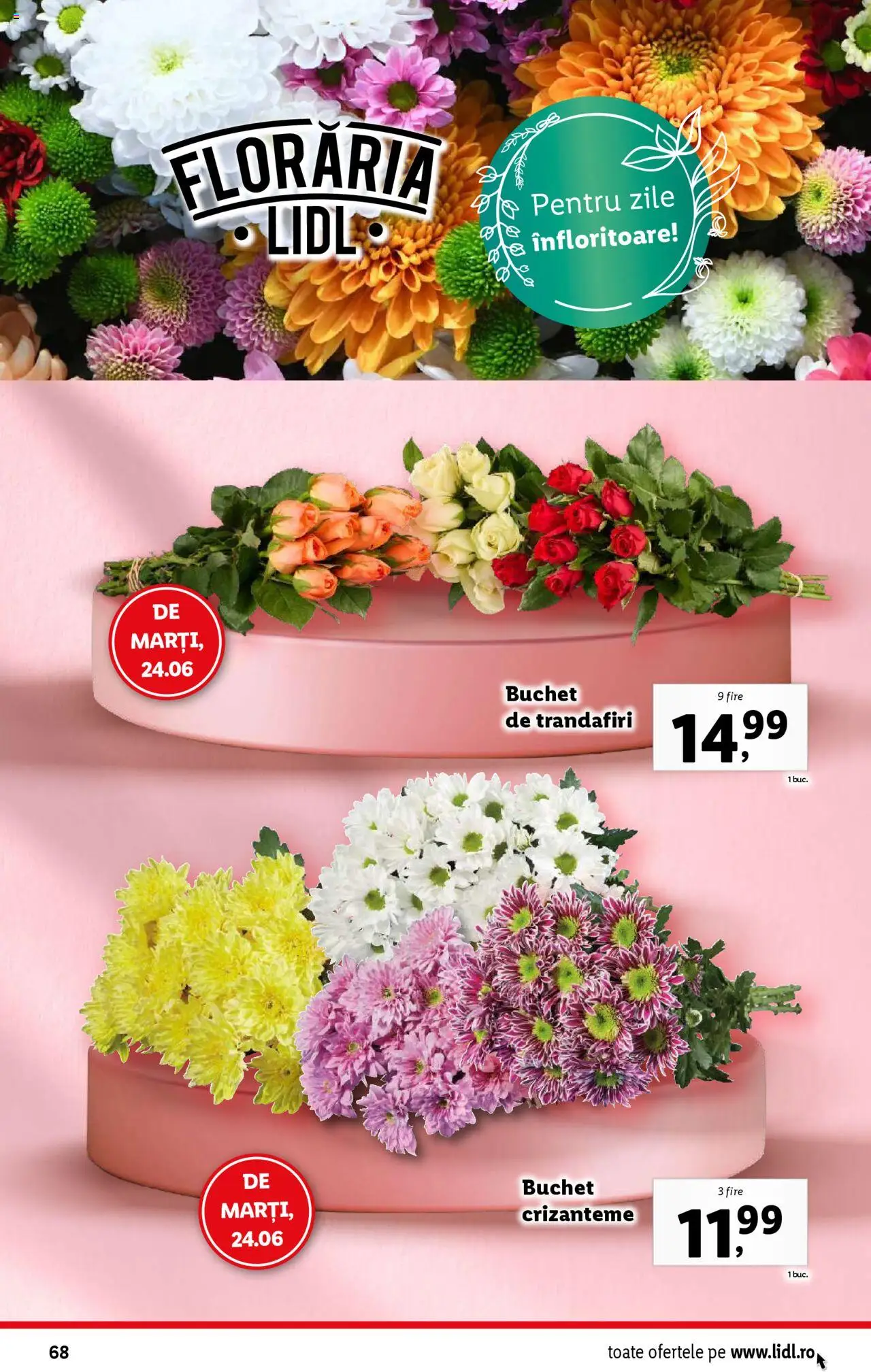 Catalog Lidl – valabil de la 23.06.2025 | Pagină: 68