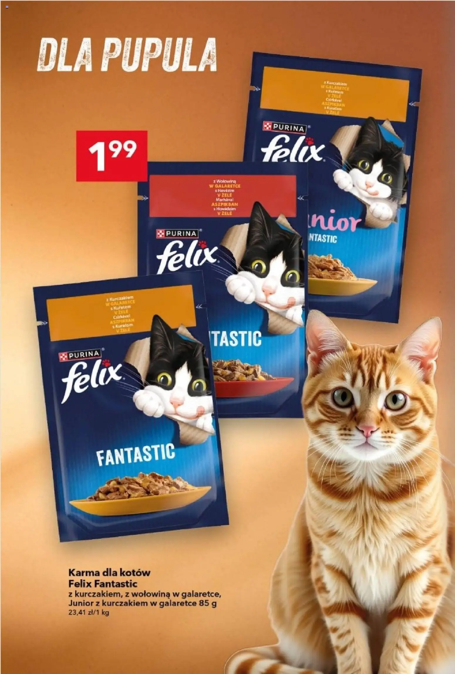 Lewiatan gazetka od 09.04.2026 | Strona: 14 | Produkty: Karma dla kotów, Wołowina