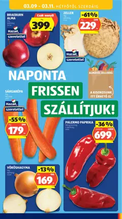 VÖRÖSHAGYMA, Red onion - amely érvényes a következő dátumtól: 05.03.2026 | Oldal: 59