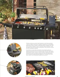 Náhled letáku HORNBACH leták - Magazín o grilování od 01.01.2026 | Strana: 21