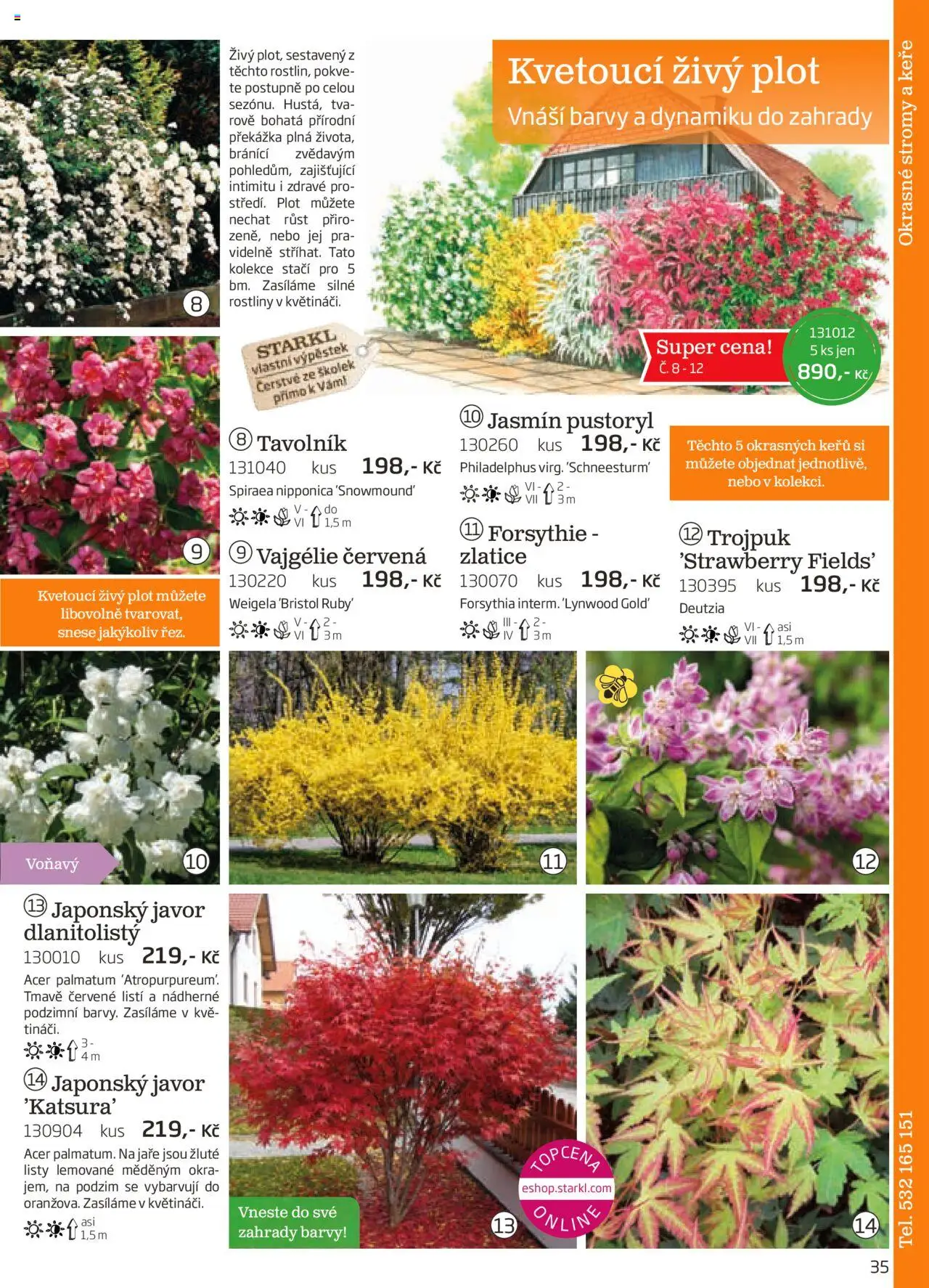 Starkl katalog podzim 2025 od 01.08.2025 | Strana: 35 | Produkty: Rostliny, Barvy