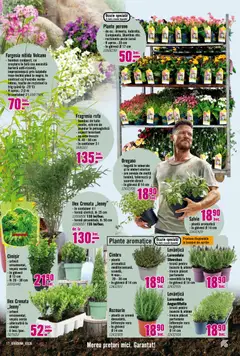 Ofertele Hornbach valabile de la 23.03.2026 | Pagină: 17 | Produse: Ghiveci, Pește, Demirhindi
