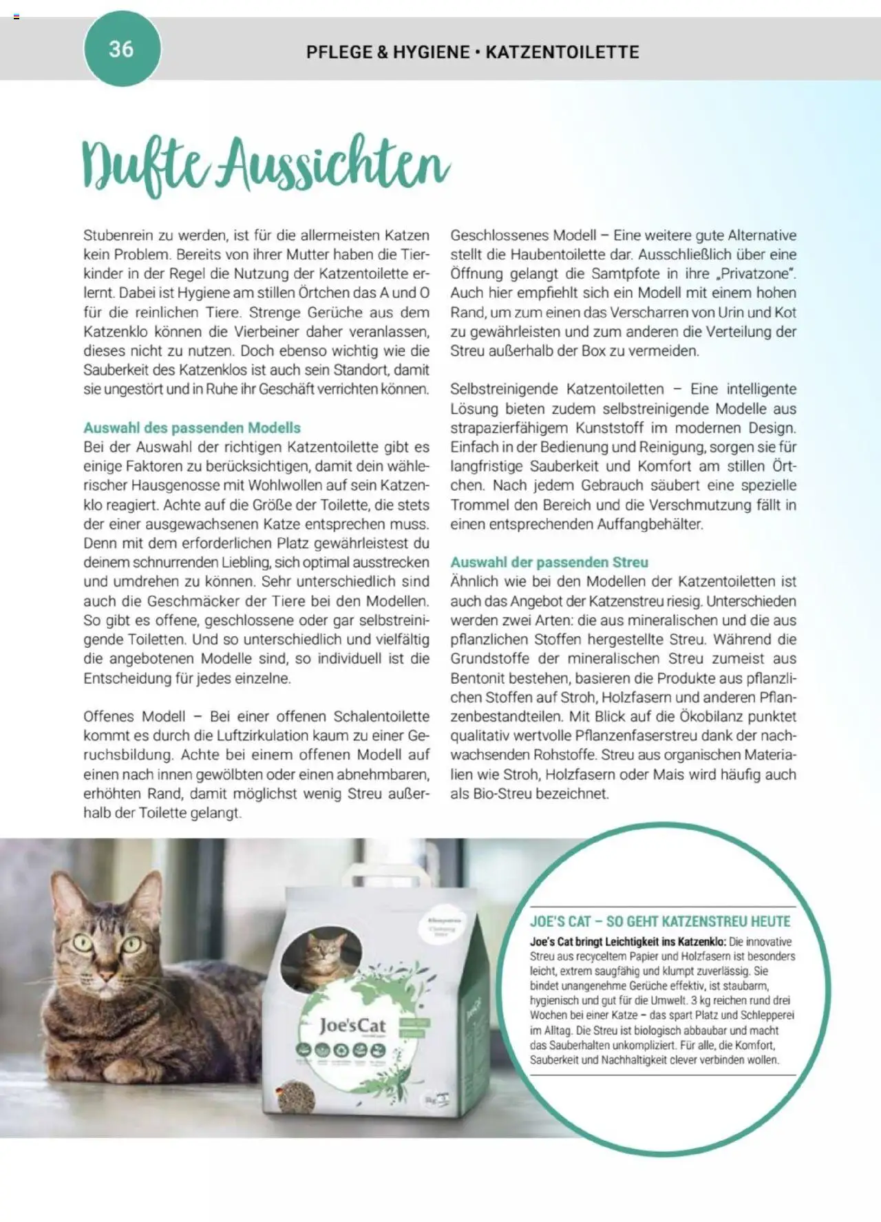 zookauf Themenkatalog Katze – gültig ab 01.10.2025 | Seite: 36 | Produkte: Box, Toilette