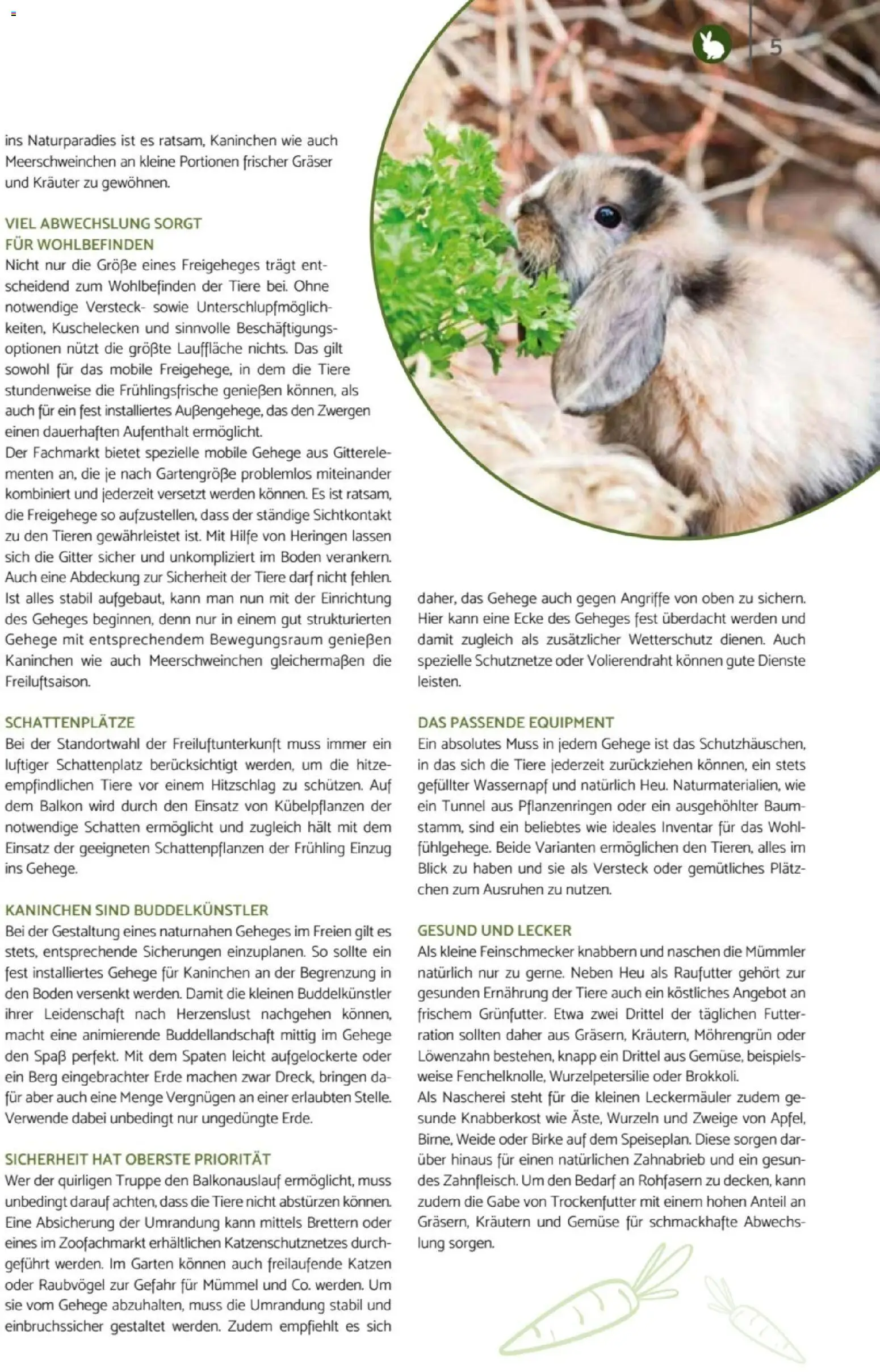 zookauf Heimtier Journal – gültig ab 01.04.2026 | Seite: 5 | Produkte: Kaninchen, Gemüse