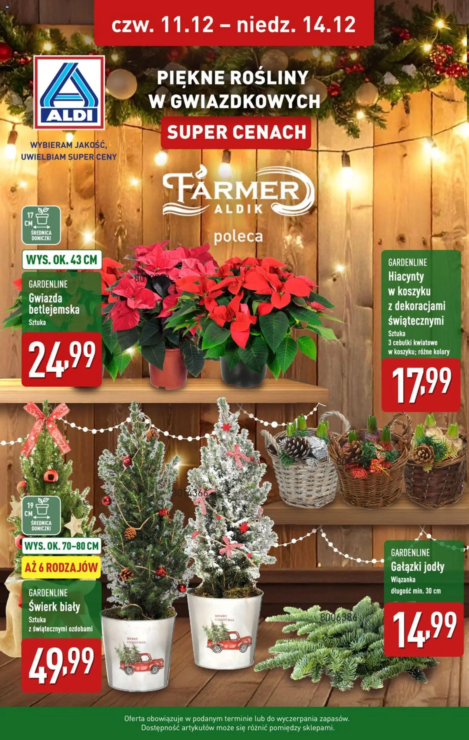 Aldi Gazetka od 08.12.2025 | Strona: 38