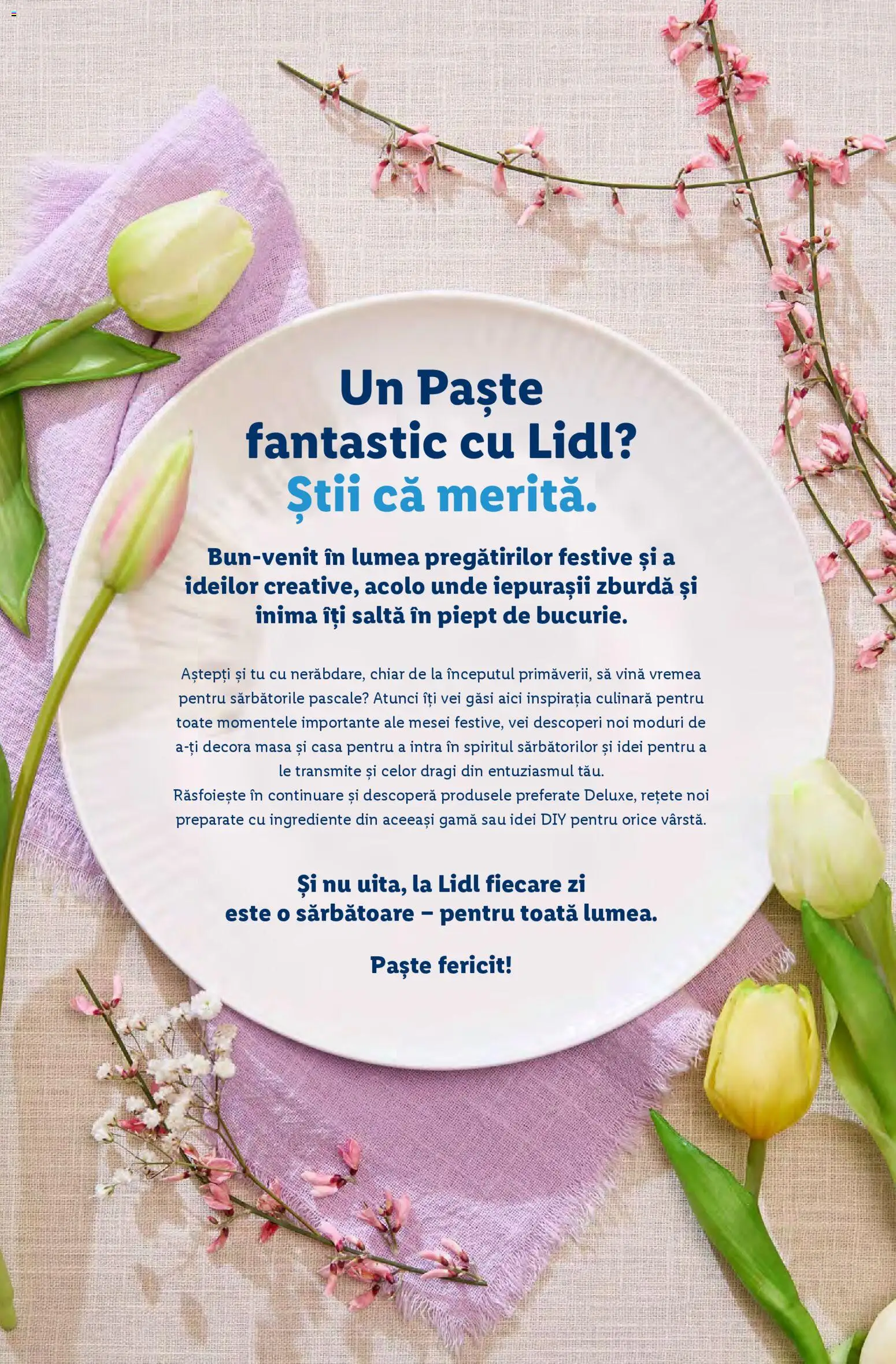 Noul catalog Lidl – valabil de la 02.03.2026 | Pagină: 2 | Produse: Masă, Paste