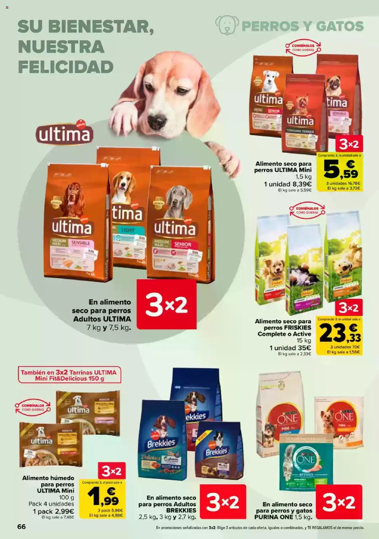 Carrefour folleto │ válido desde el 26.06.2025 | Página: 65 | Productos: Té