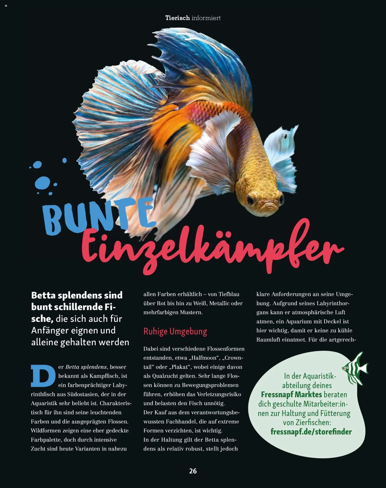 Fressnapf Magazin – gültig ab 01.11.2025 | Seite: 26 | Produkte: Tisch, Fisch