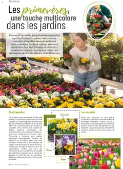 VillaVerde - Prévisualisation de VillaVerde catalogue valide à partir de 19.09.2025 | Page: 12 | Produits: Tulipes, Magazine