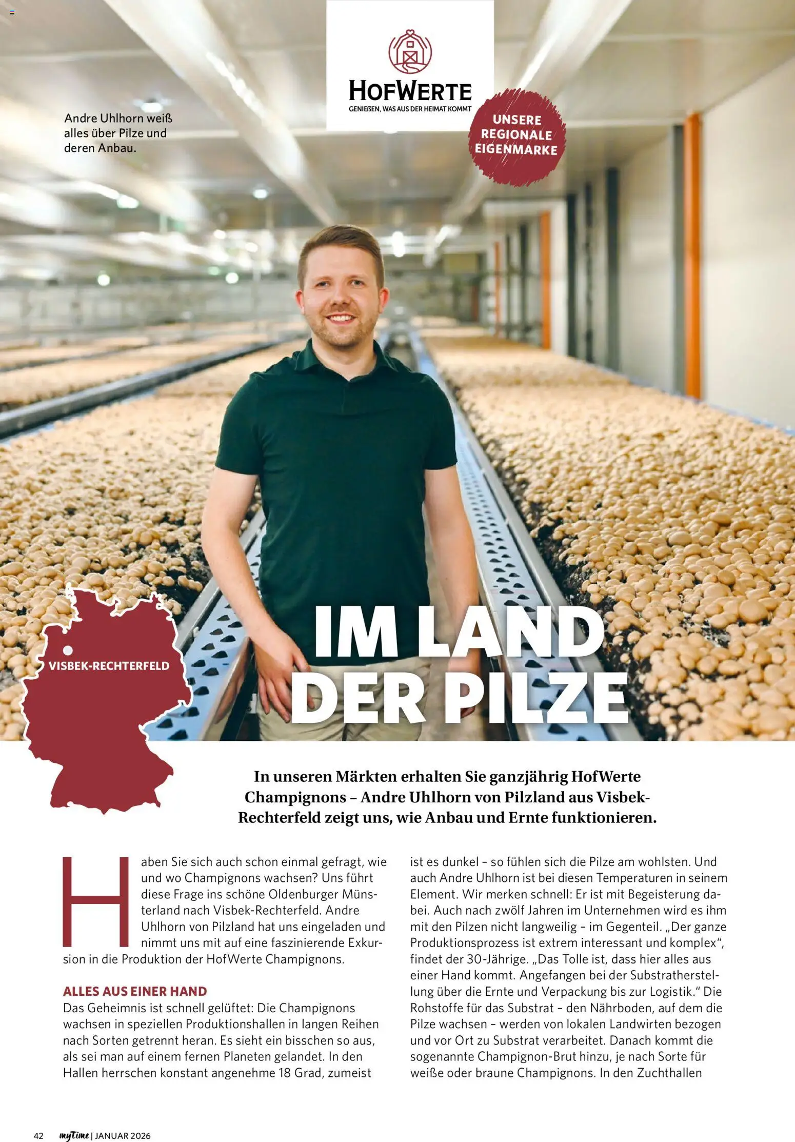 Combi  myTime Januar 2026 – gültig ab 01.01.2026 | Seite: 42 | Produkte: Champignons