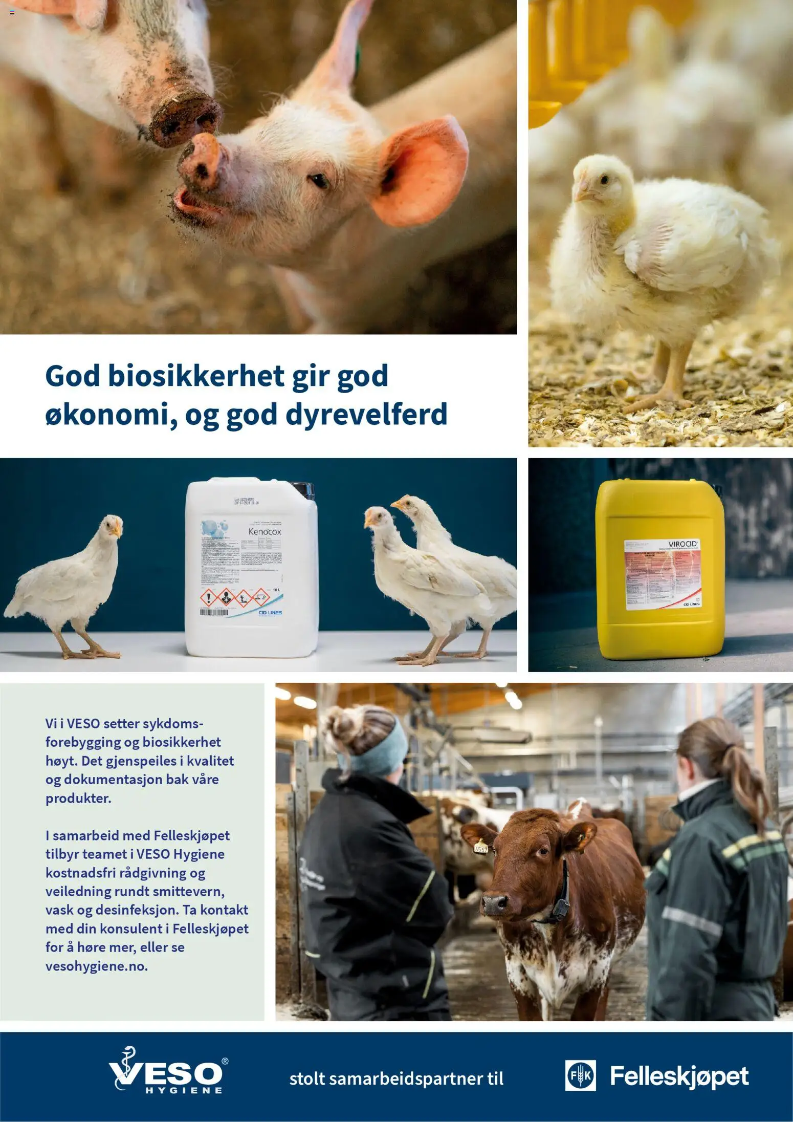 {H1} | Side: 20 | Produkter: Kontakt, Vask