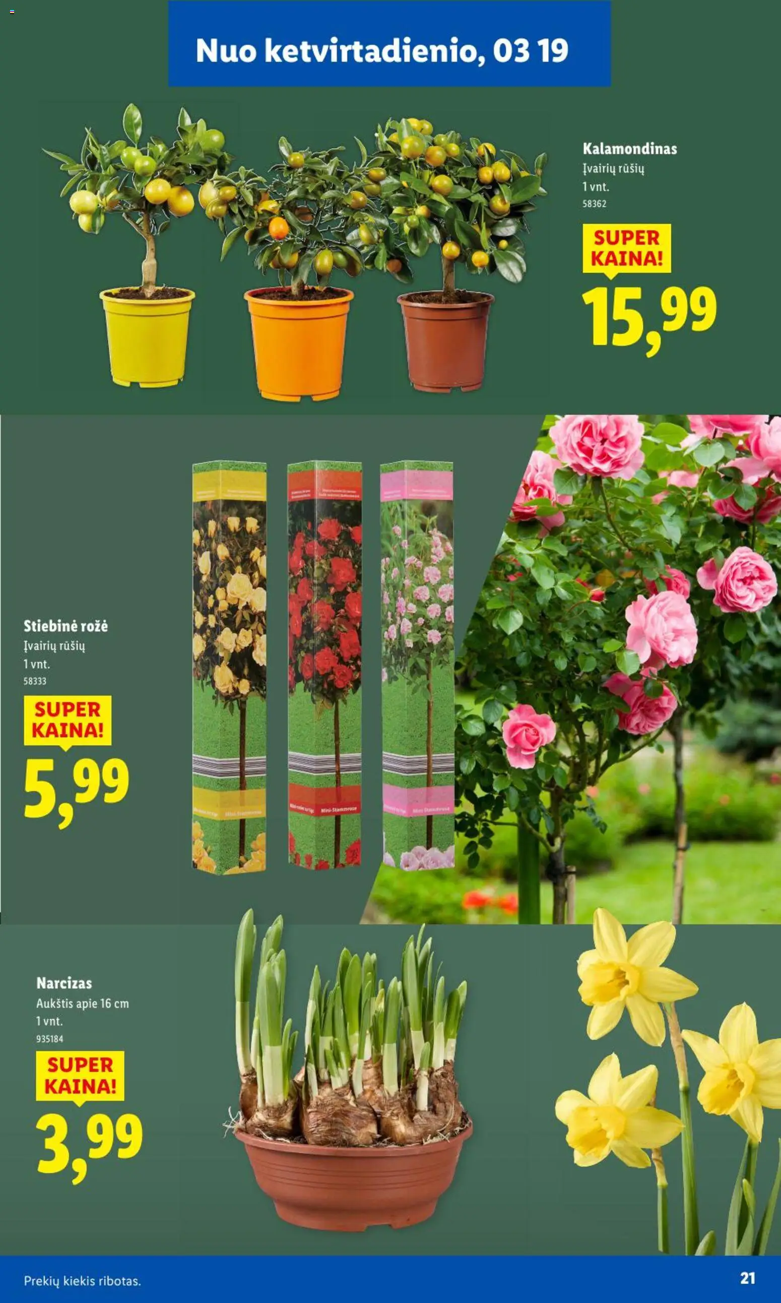 LIDL akcijos nuo 09.02.2026 | Puslapis: 20