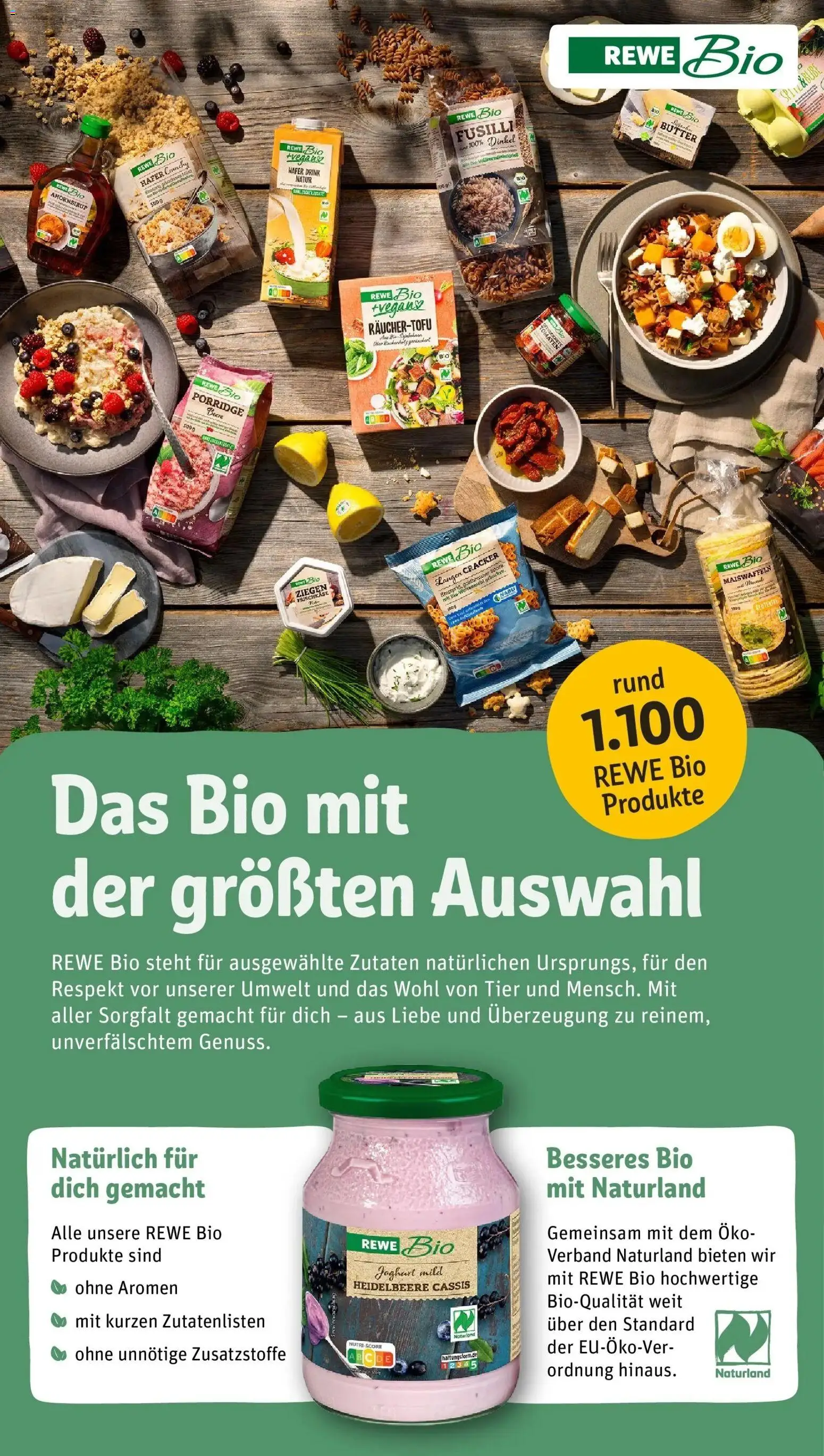 Rewe prospekt Beelitz Ot Beelitz-Heilstätten	 – gültig ab 22.02.2026 | Seite: 25 | Produkte: Joghurt, Tomaten, Weizenmehl, Pasta