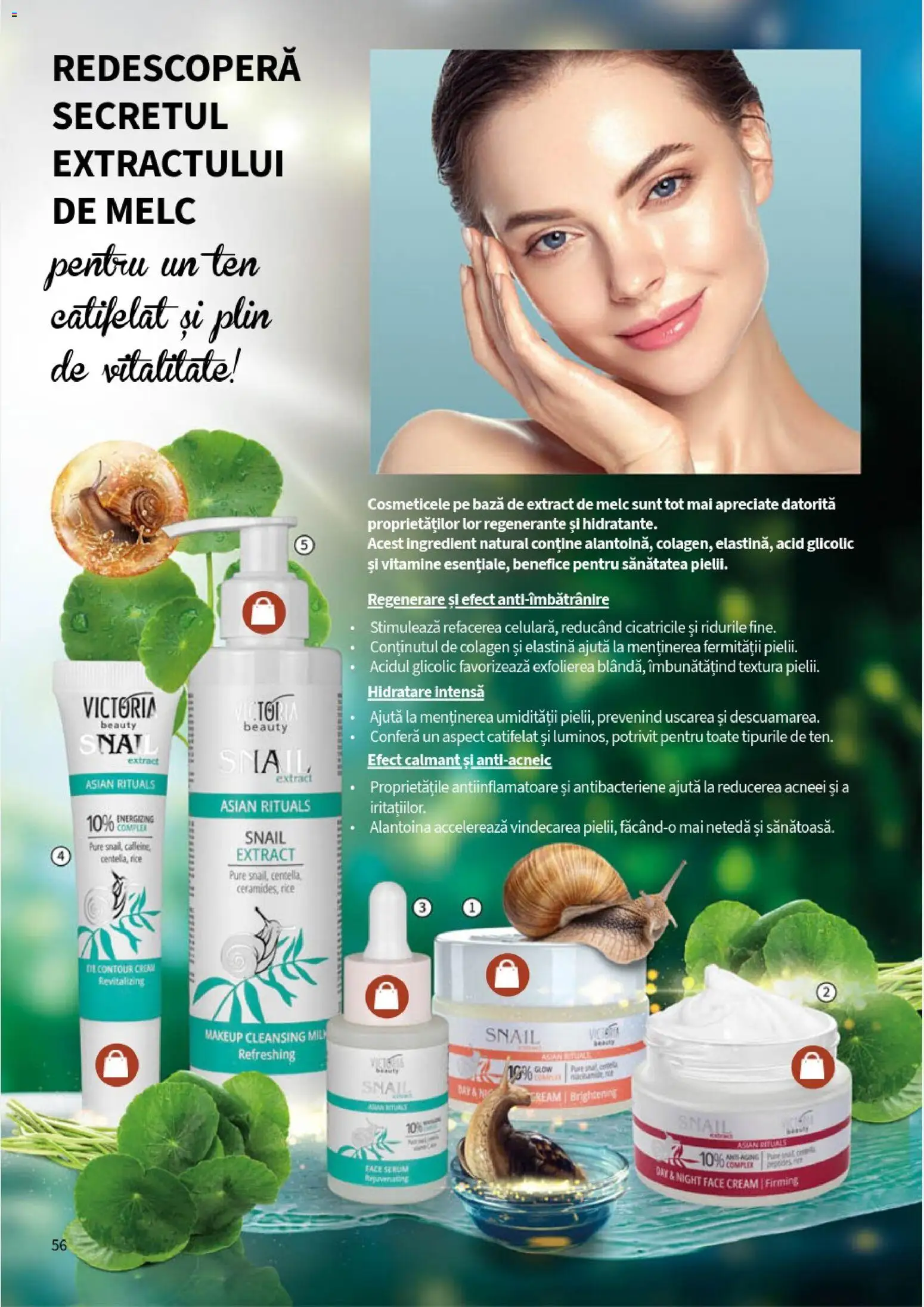 Noul catalog Lady’s – valabil de la 05.01.2026 | Pagină: 58 | Produse: Serum